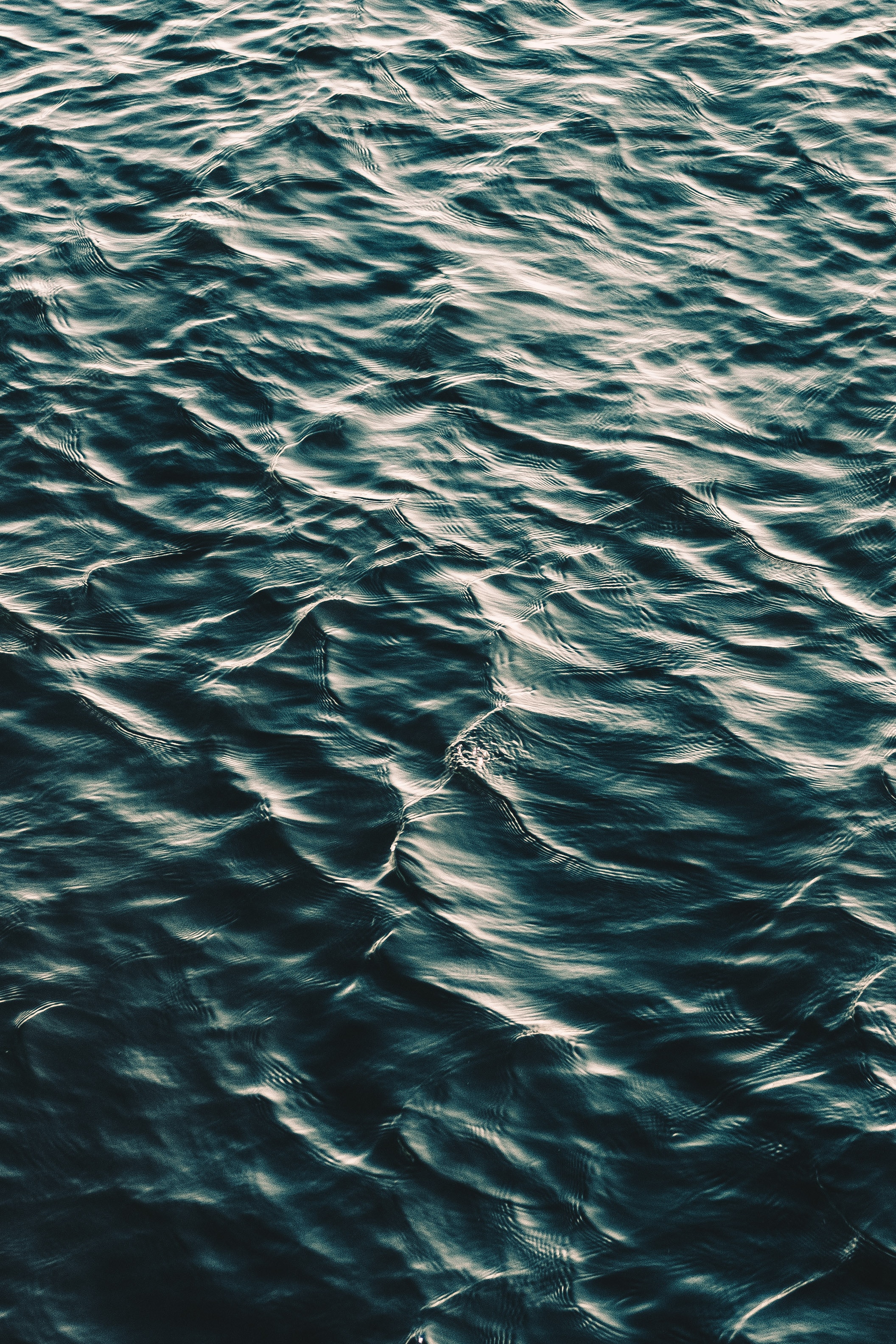 textures, water, waves, ripples, ripple, texture, surface Free Stock Photo
