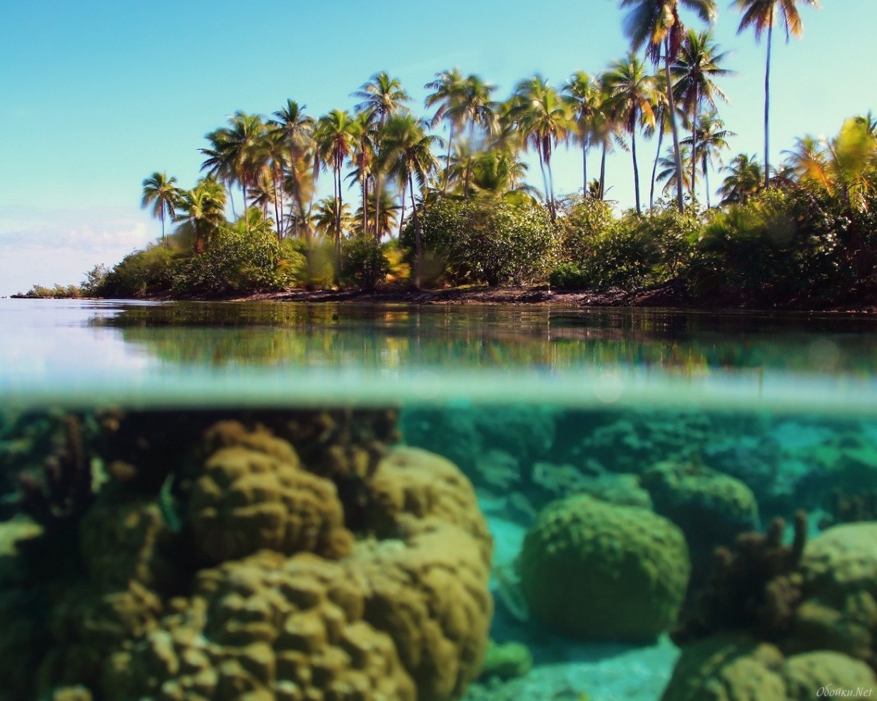 20587 Hintergrundbild herunterladen landschaft, sea, palms - Bildschirmschoner und Bilder kostenlos