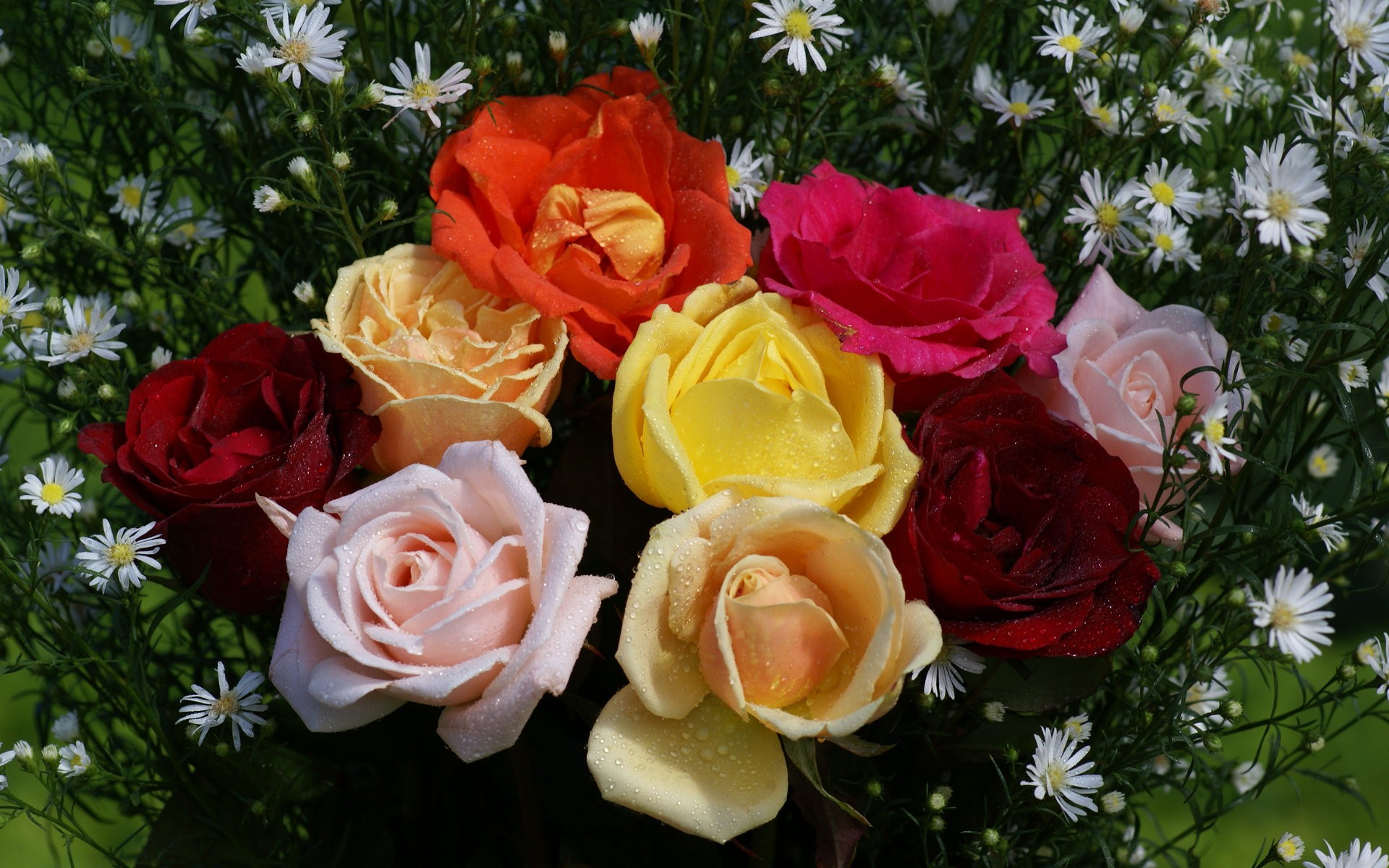 Full HD Wallpaper bouquet, flowers, earth, rose, flower