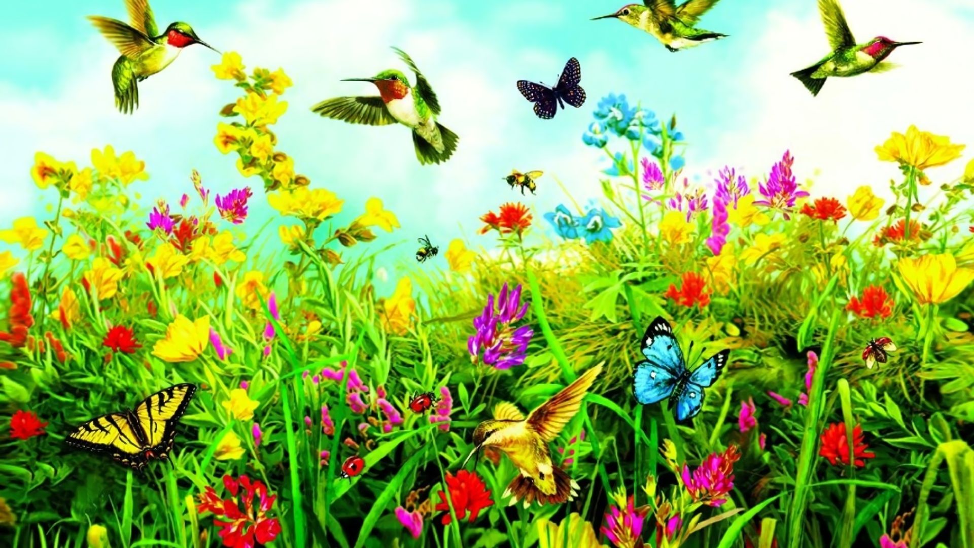 Как поют звери птицы и насекомые. Лето бабочки. Лужайка с бабочками. Поляна с цветами и бабочками. Бабочки на лугу.