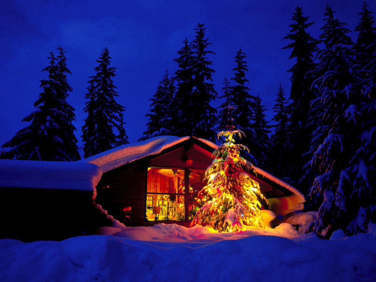 christmas, view, christmas tree, holidays, new year, lights, house, window UHD