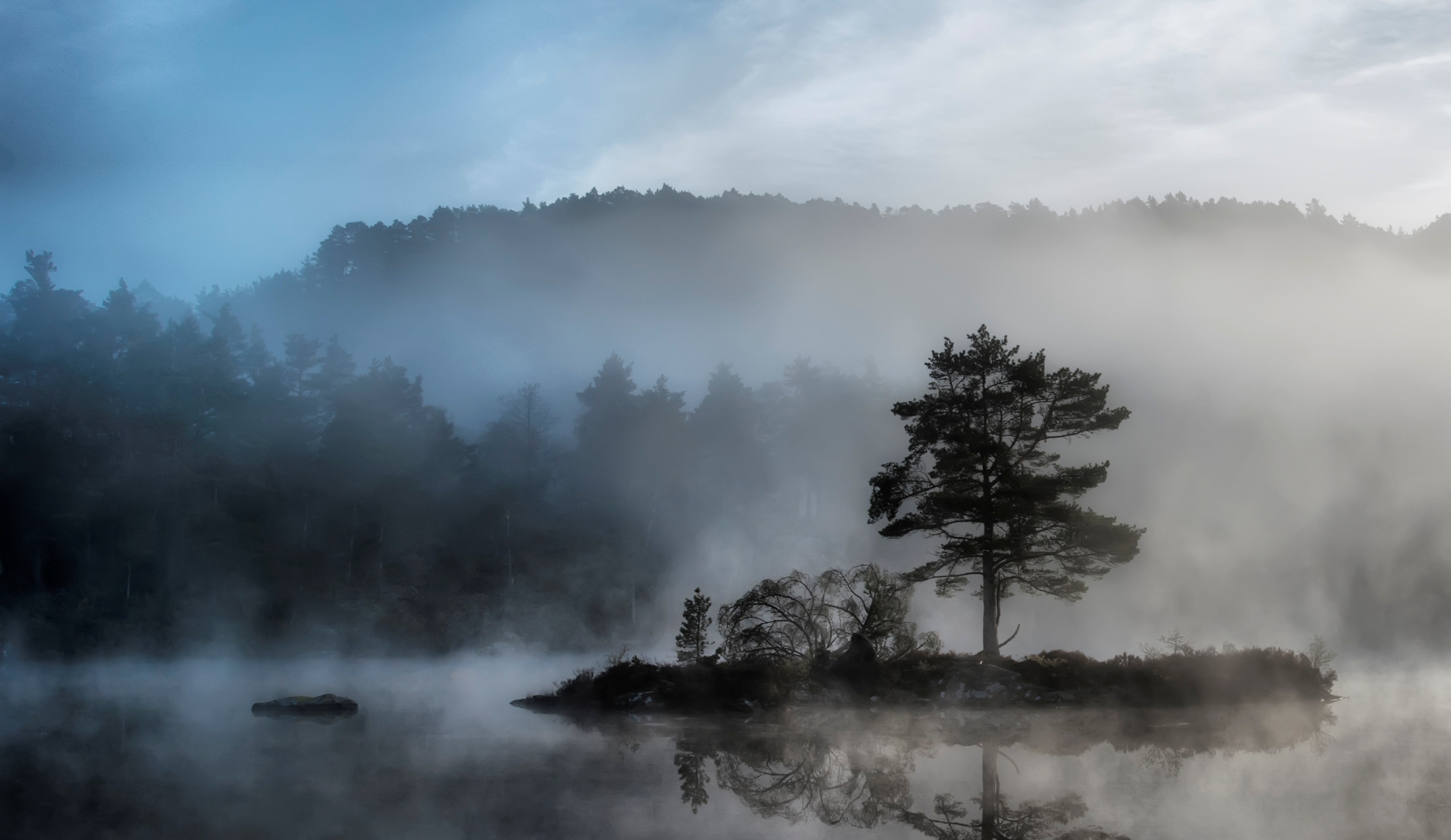 mysterious, nature, water, wood, tree, fog, island, basin, islet Phone Background