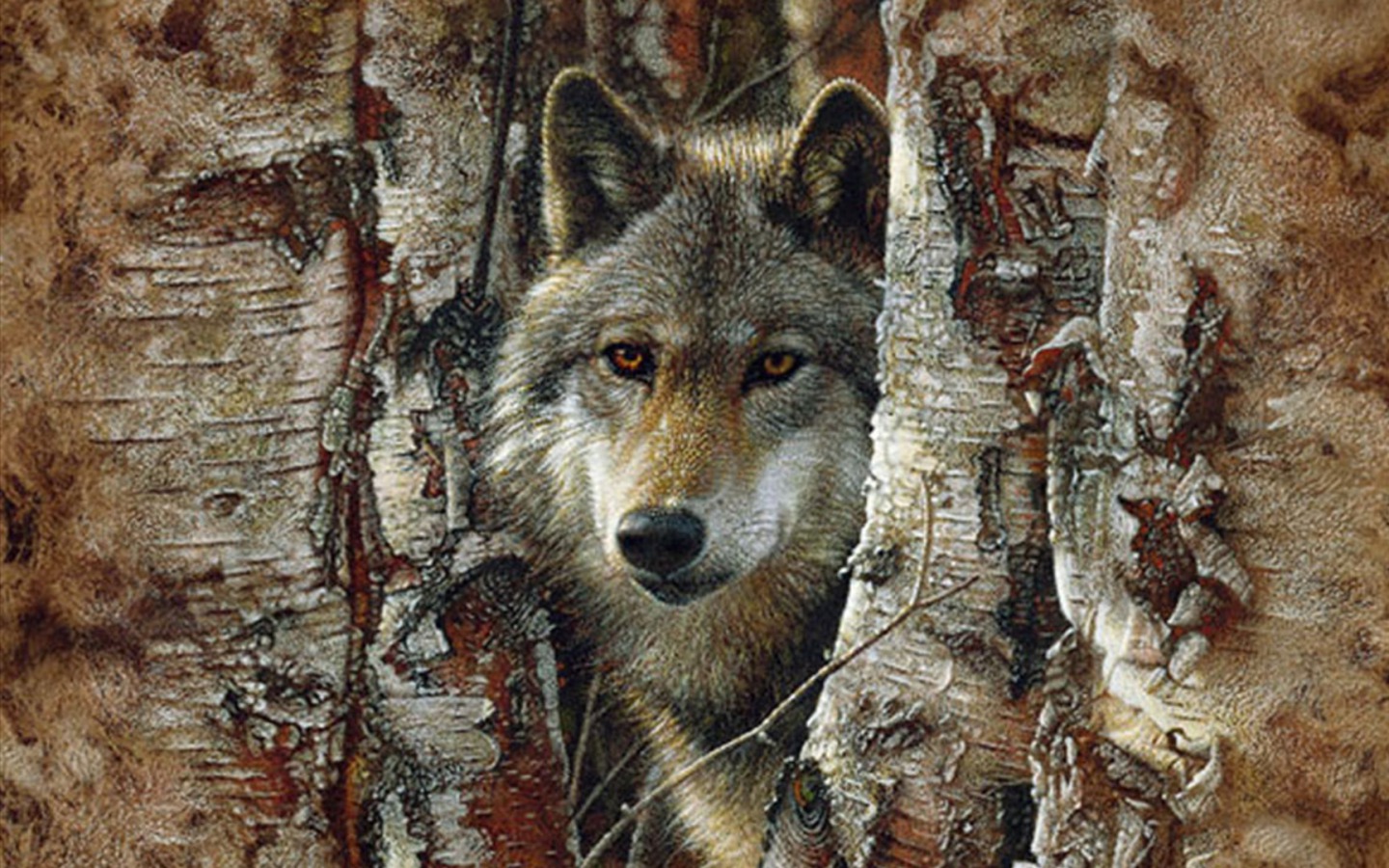 1499687 Hintergrundbild herunterladen tiere, wolf, nahansicht, gesicht, grauer wolf, baum - Bildschirmschoner und Bilder kostenlos