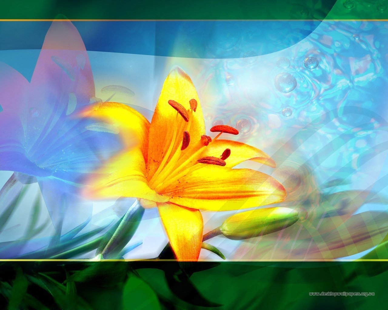 plants, flowers, lilies lock screen backgrounds