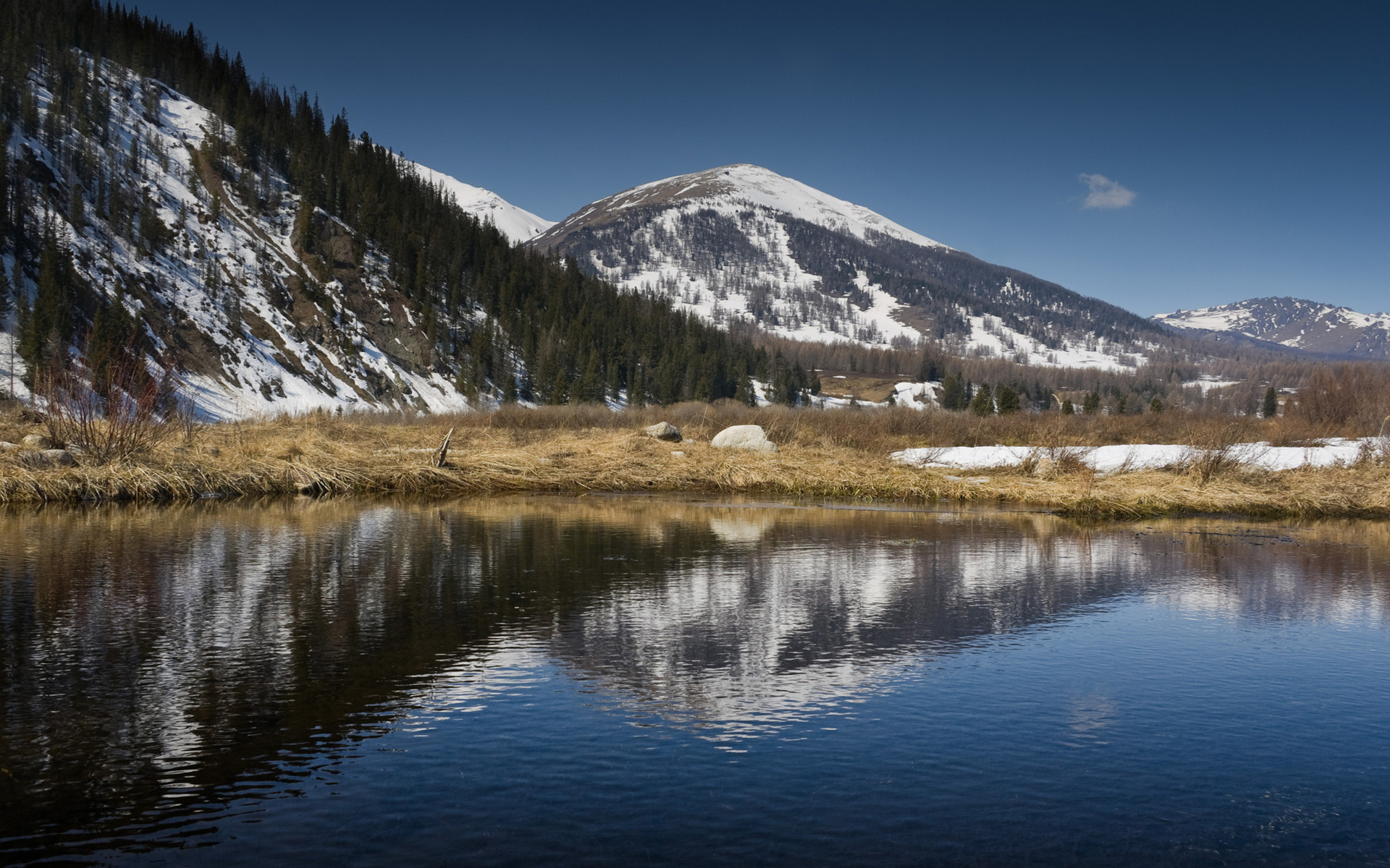 Восточный казахстан фото природы