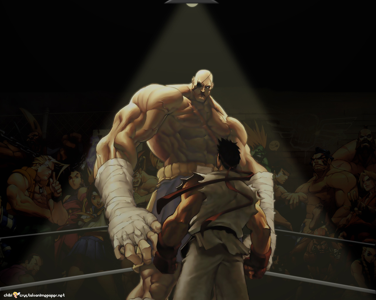 Street Fighter  1366x768 Wallpapers