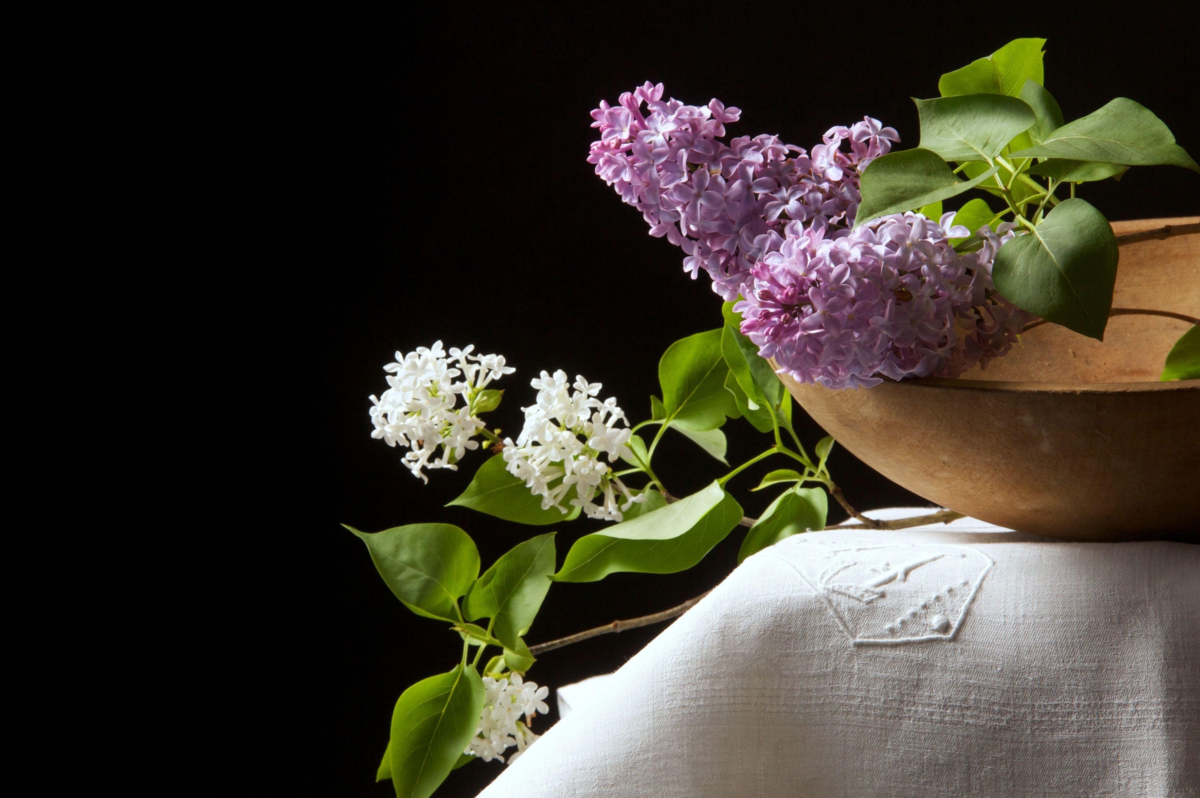 flowers, lilac, white, bowl, black background, tablecloth QHD