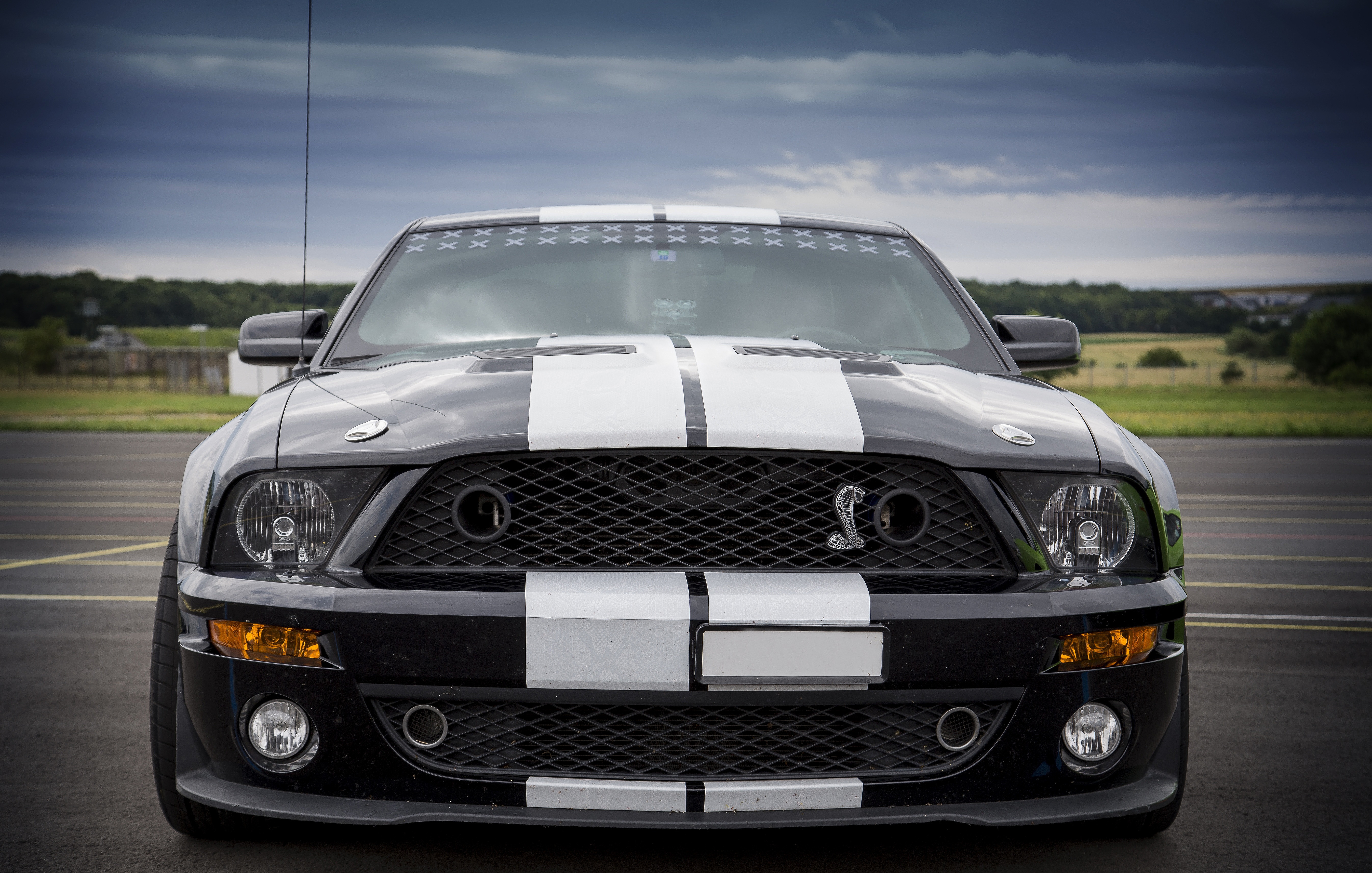 shelby, ford mustang, front view, car, sports, cars QHD