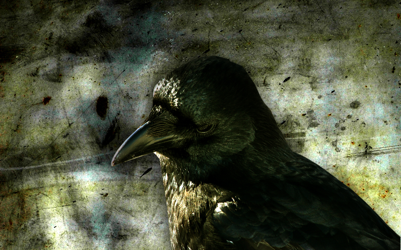 1447627 Hintergrundbild herunterladen filme, the crow die krähe, vogel, krähe, rabe - Bildschirmschoner und Bilder kostenlos