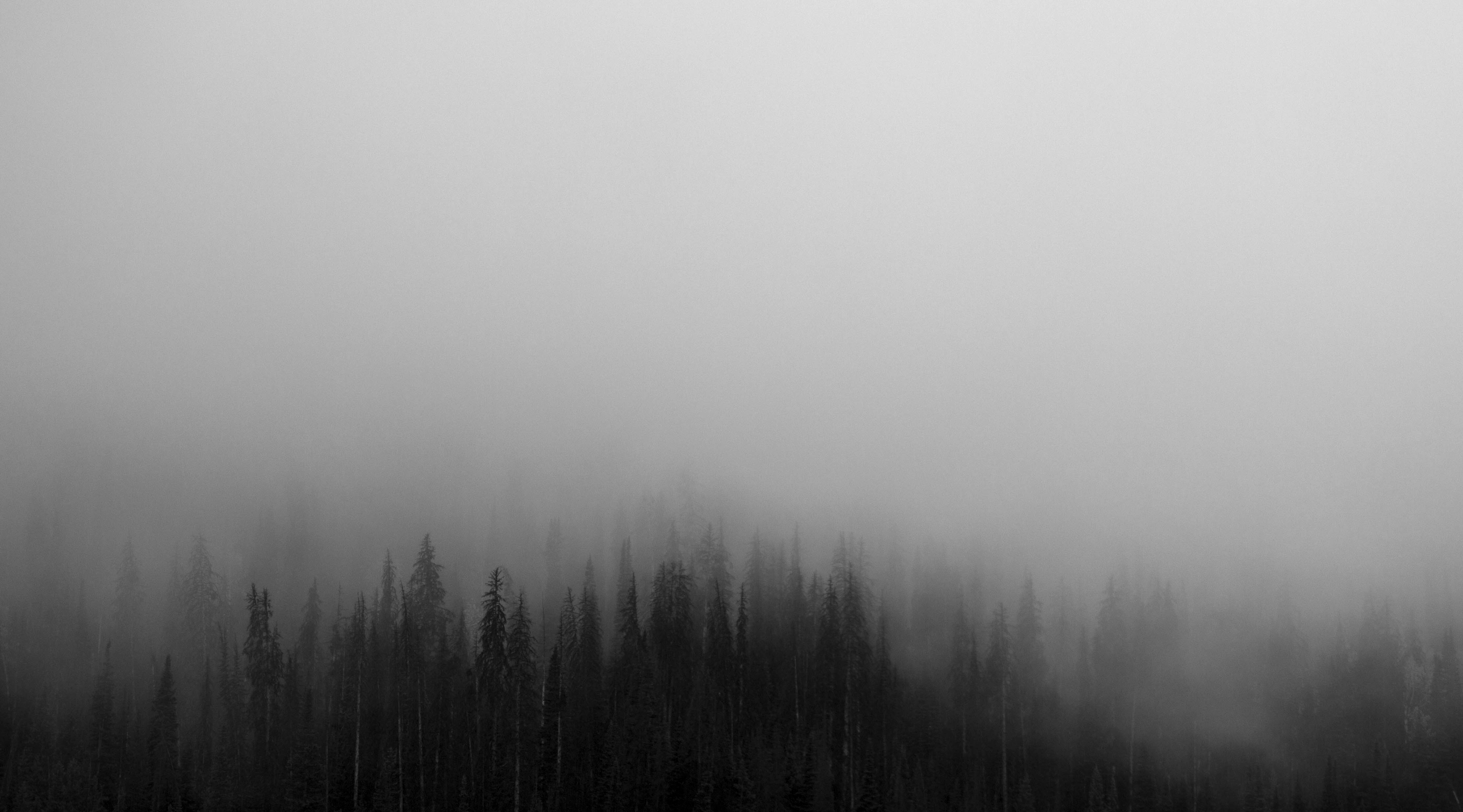 Мрачный туман