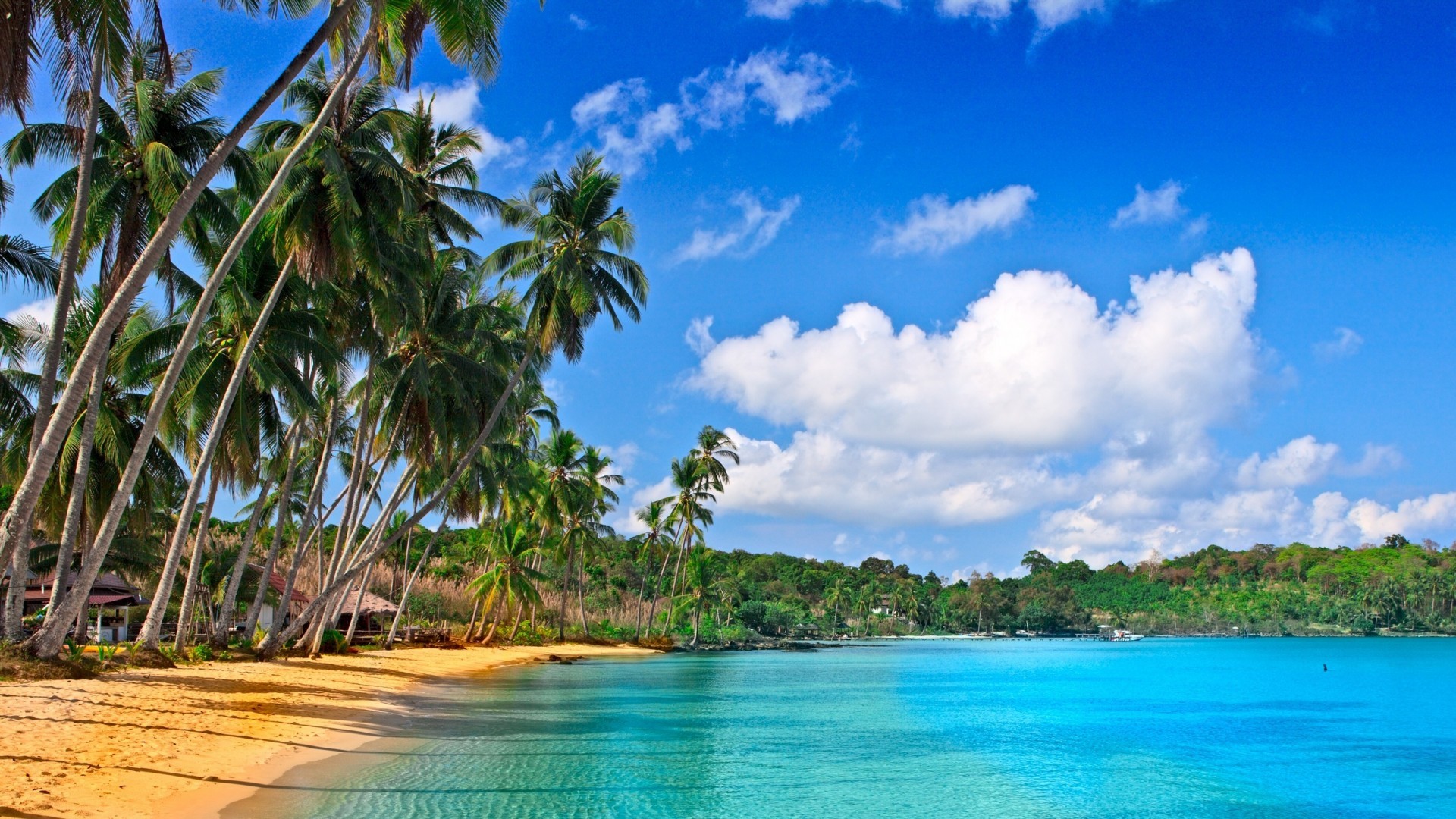 Скачати мобільні шпалери Пейзаж, Пальми, Море, Пляж безкоштовно.
