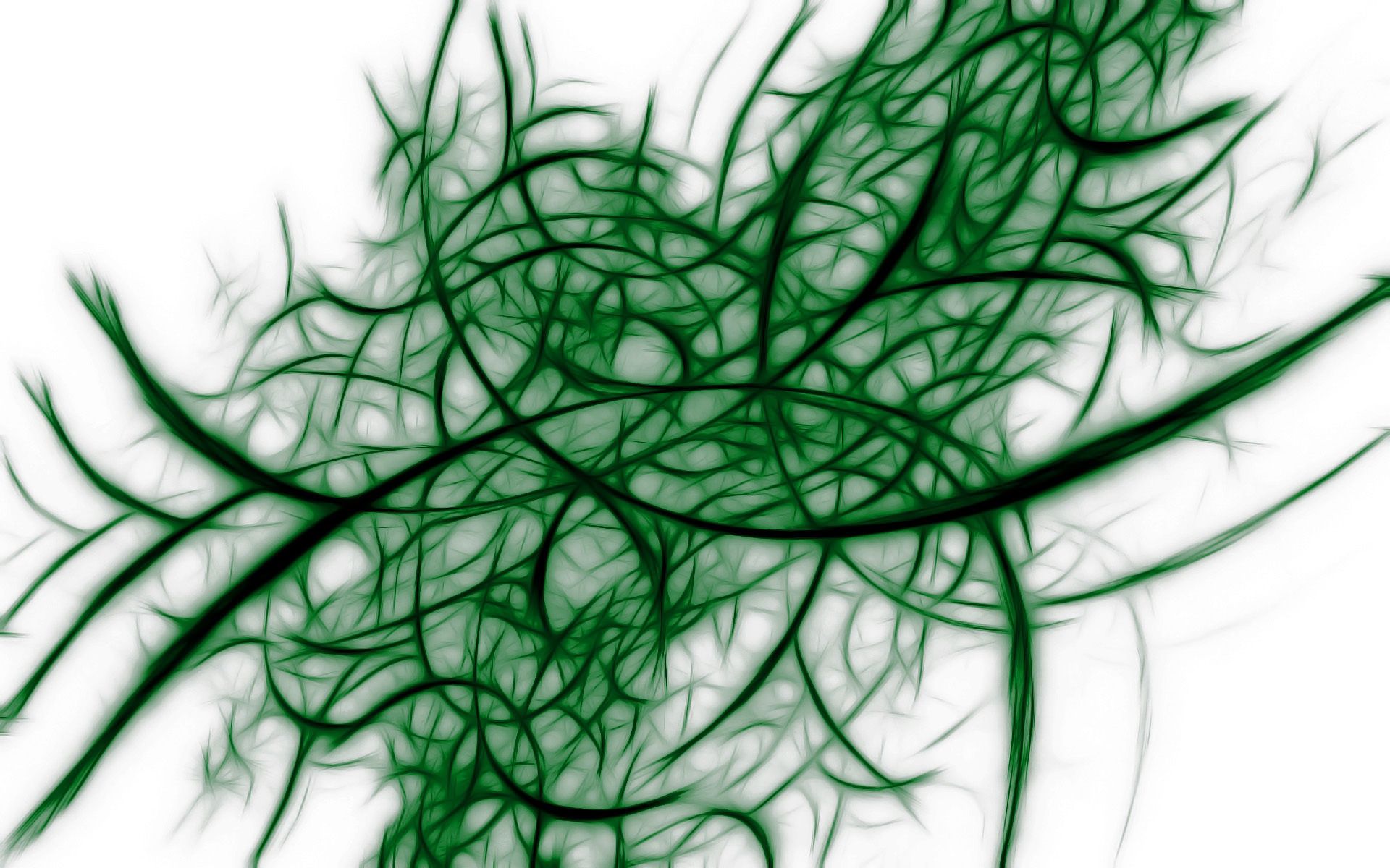 plexus, grid, abstract, shadow, seaweed, algae UHD