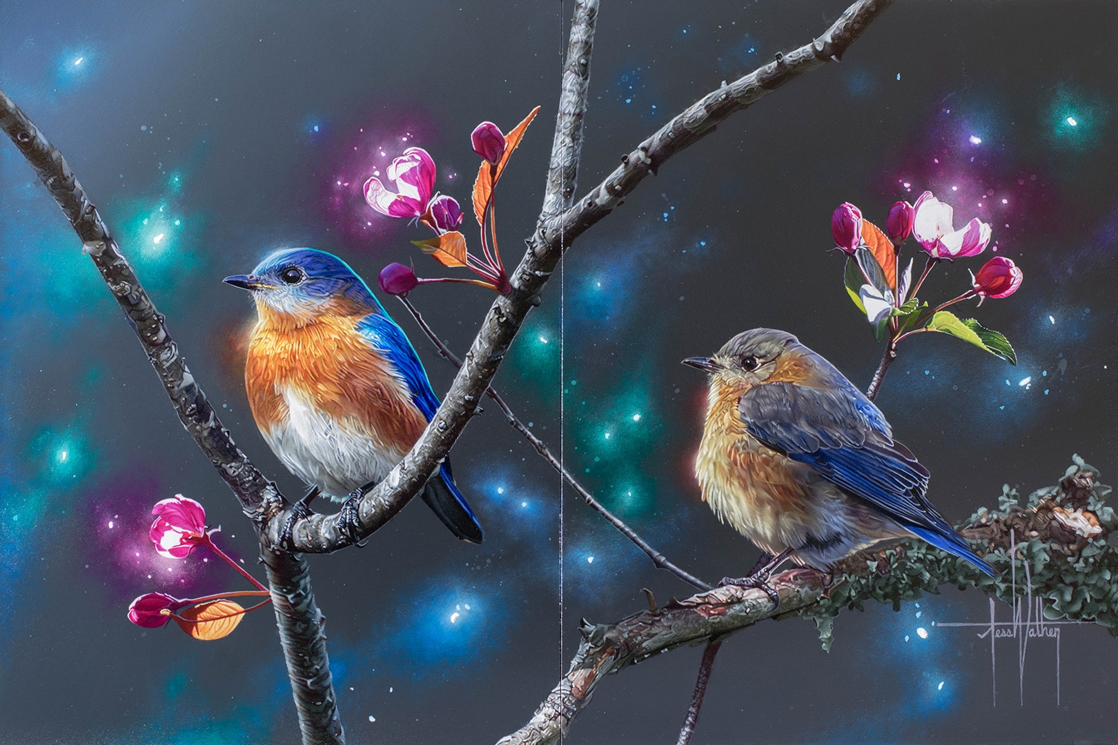 406814 скачать картинку дерево, животные, синяя птица, птицы, восточная синяя птица, блестки - обои и заставки бесплатно