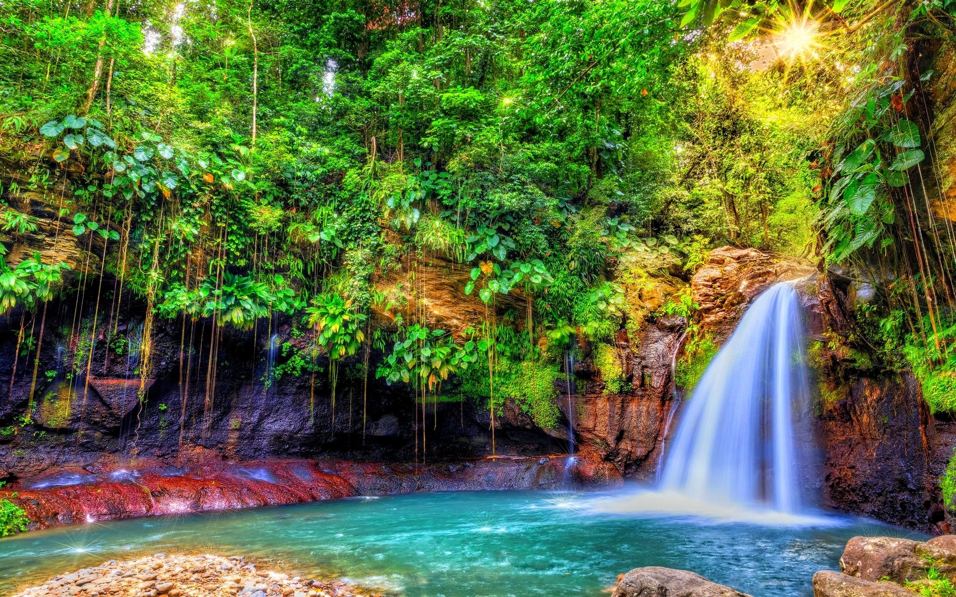 Тропики лес водопад