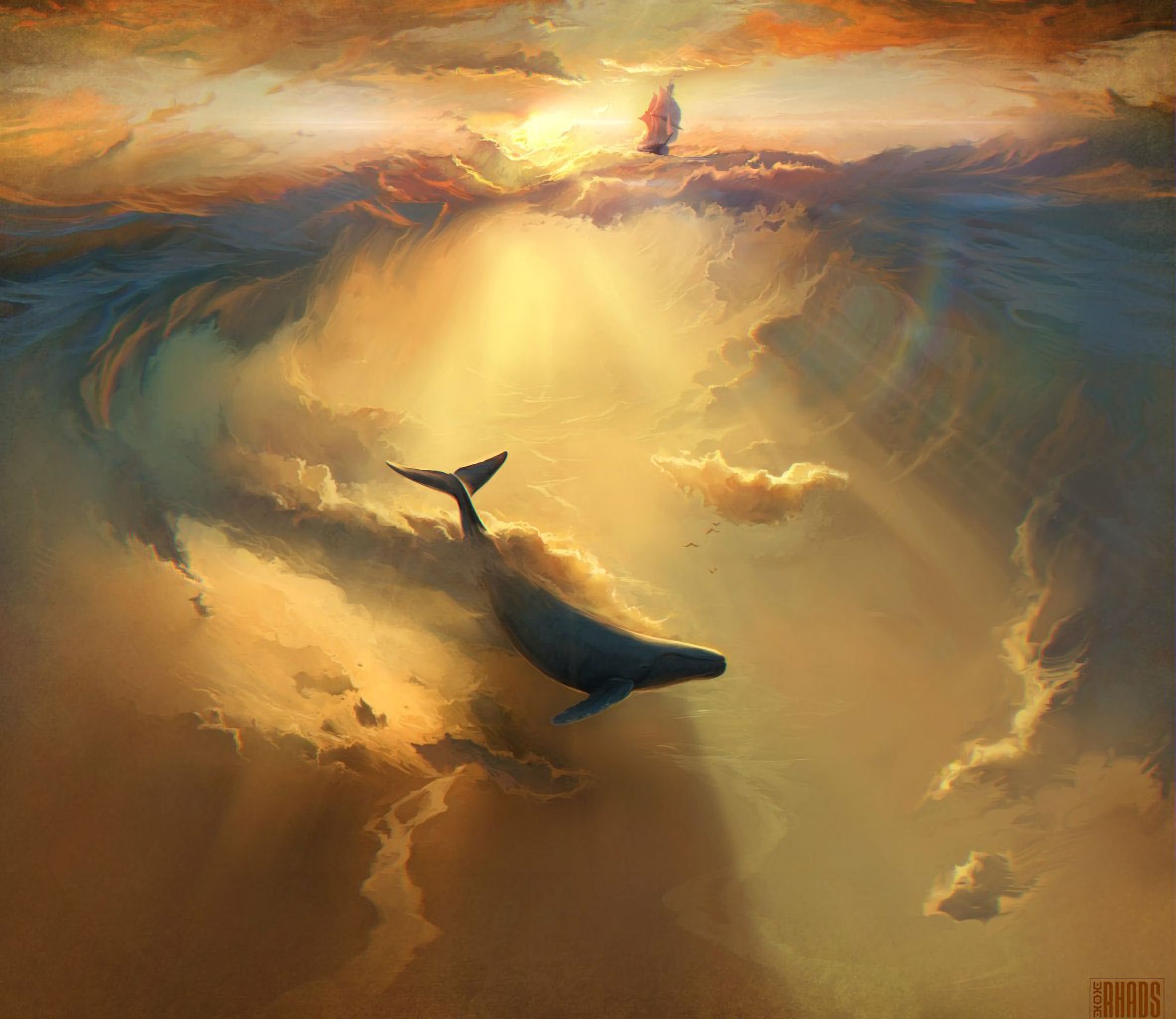 art, shark, dolphin, underwater world, sea HD wallpaper