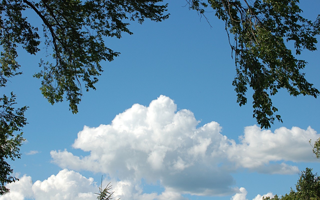 Скачать картинку Облака, Деревья, Пейзаж, Небо в телефон бесплатно.