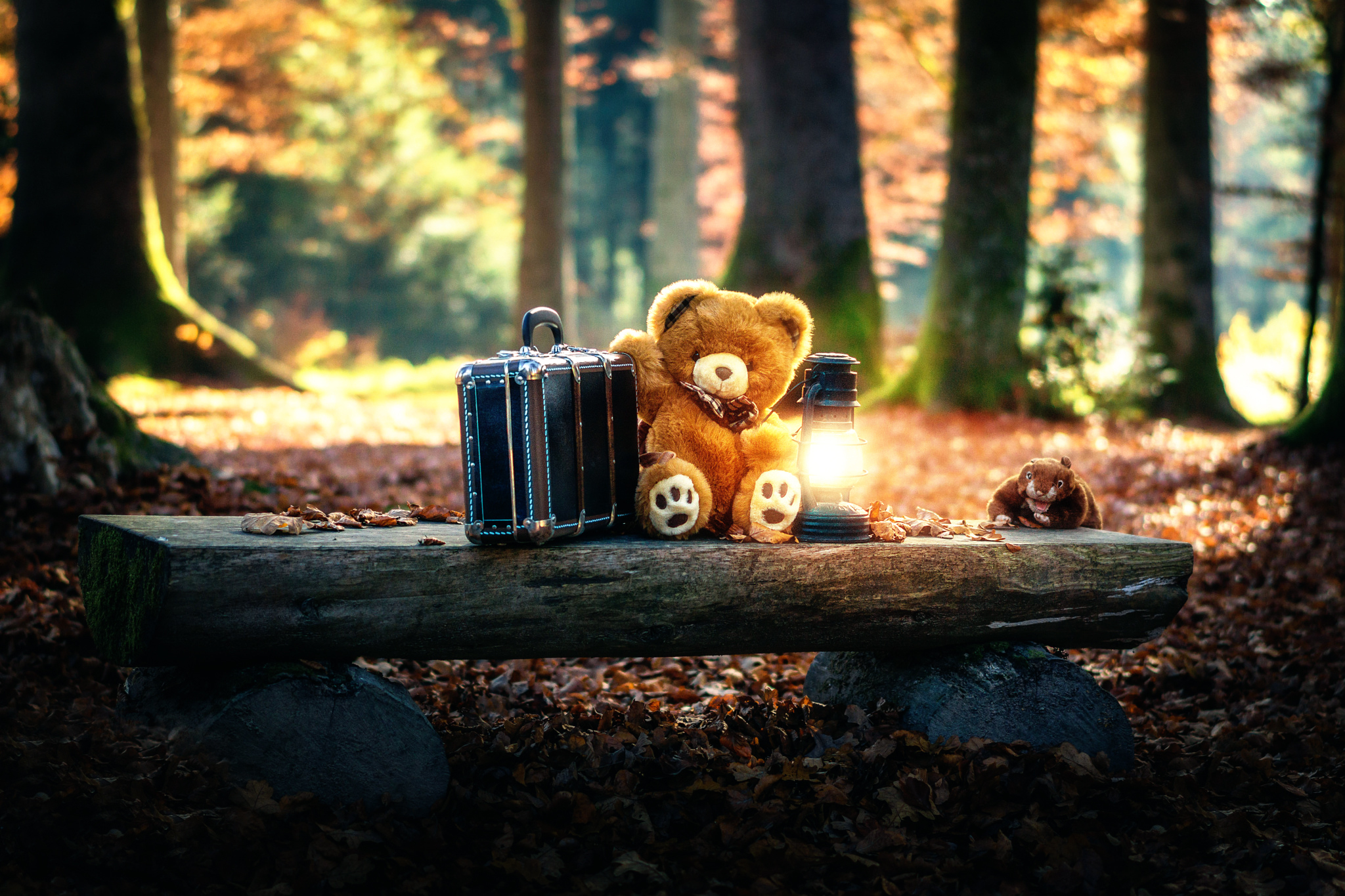 teddy bear, man made, stuffed animal, bench, lantern, suitcase High Definition image