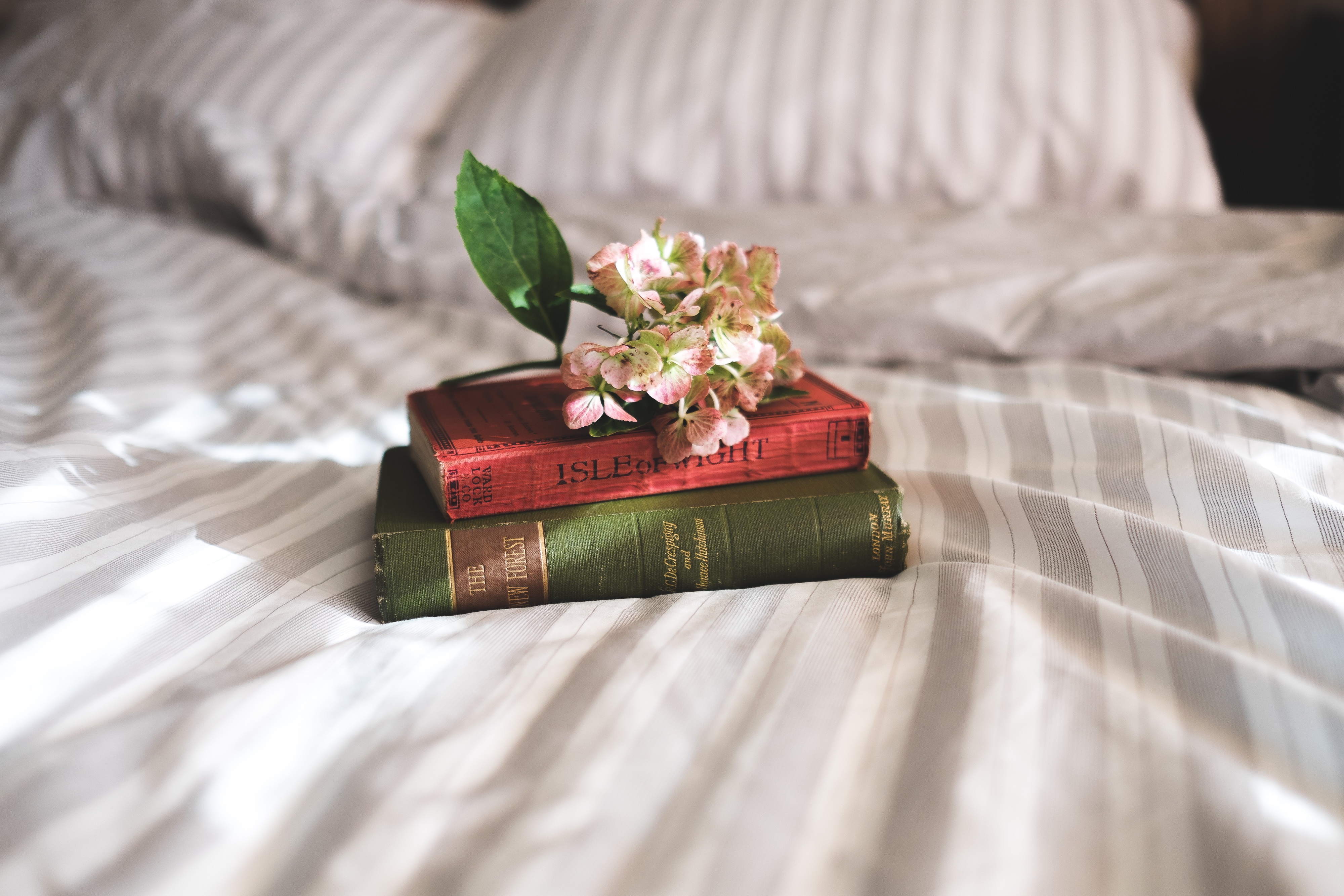 inspiration, books, flowers, miscellanea, miscellaneous, bed