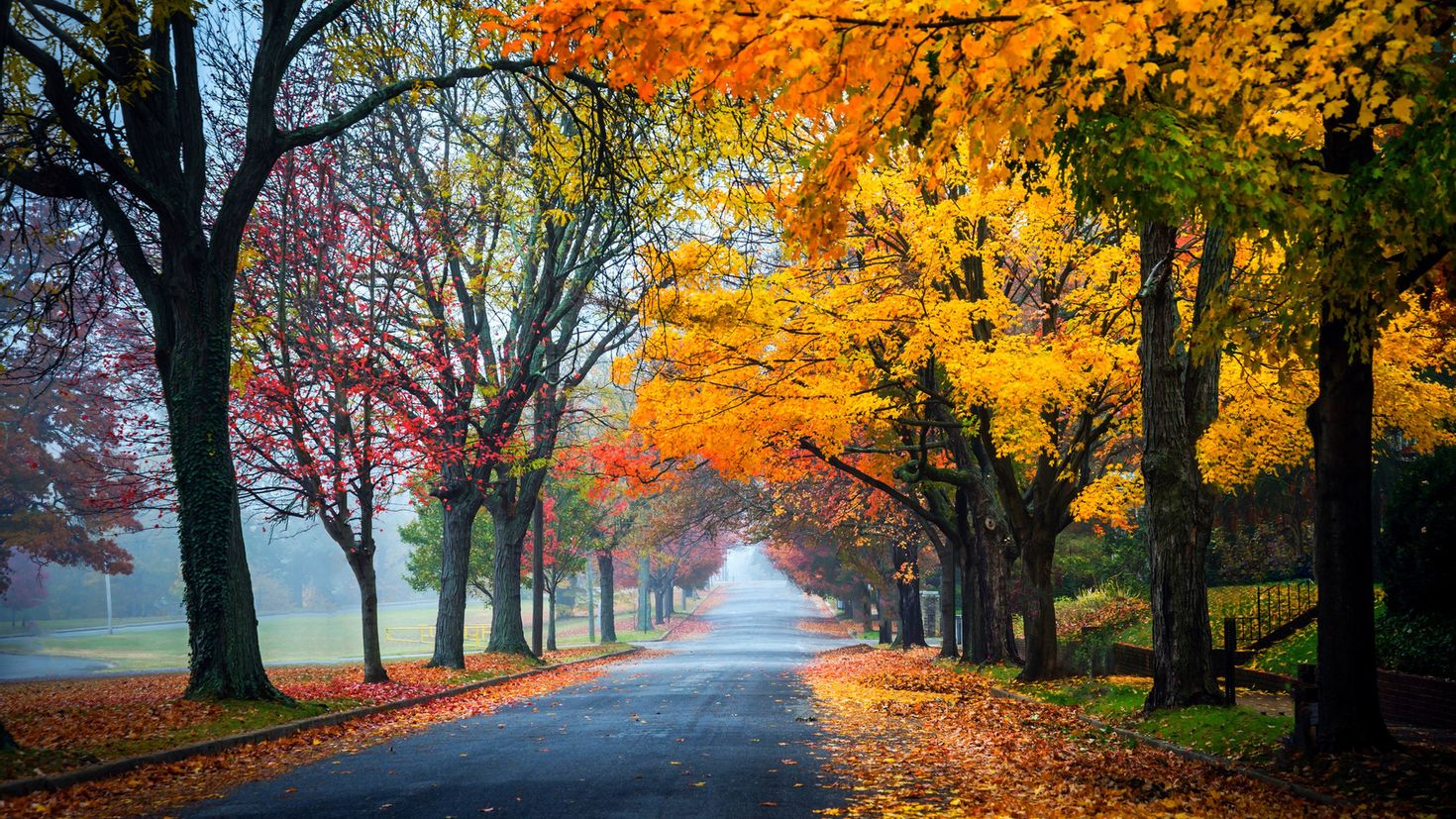 Fall day. Осень. Осенний пейзаж. Ossen.