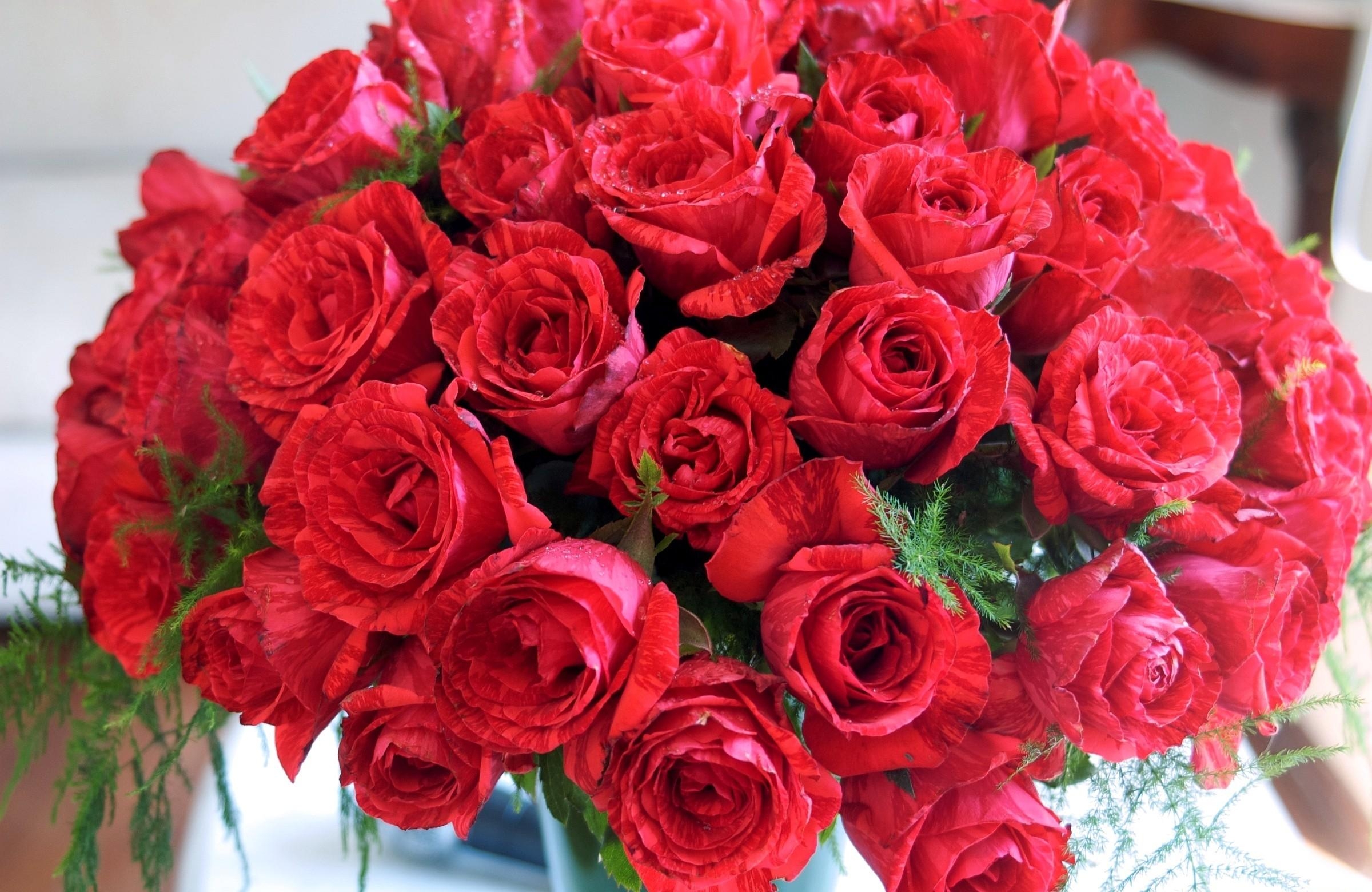 105538 скачать обои розы, шикарно, красные, цветы, букет - заставки и картинки бесплатно