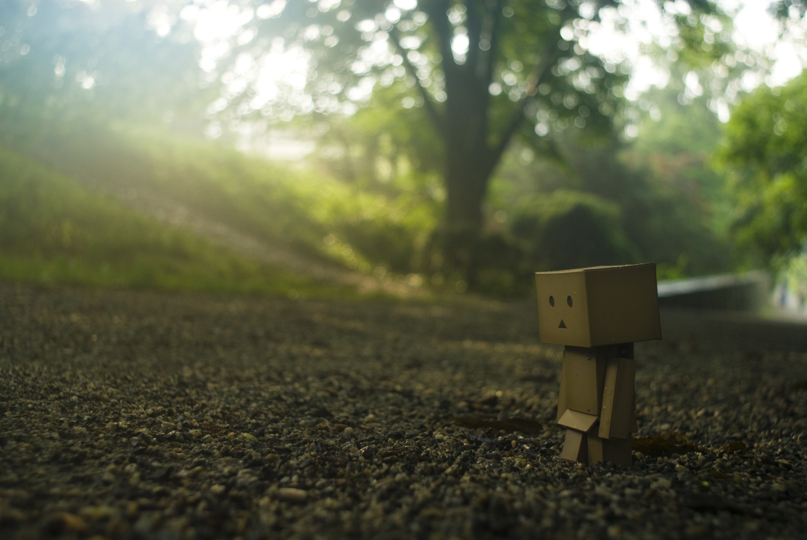 Images & Pictures  Danbo