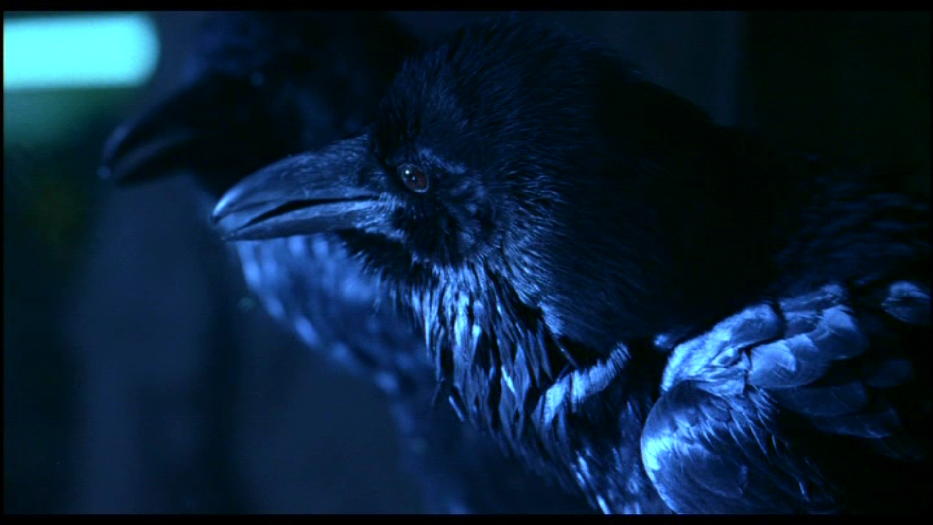 the crow, movie