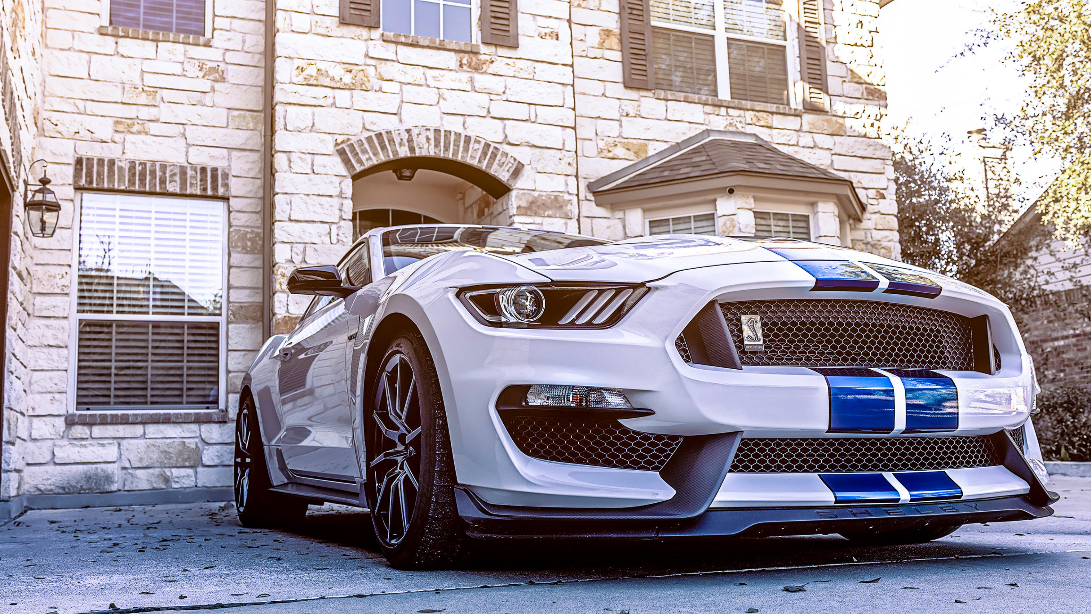 Download Mustang Shelby Gt350, Ford Mustang, Shelby, Gt350 Wallpaper in  2048x1152 Resolution