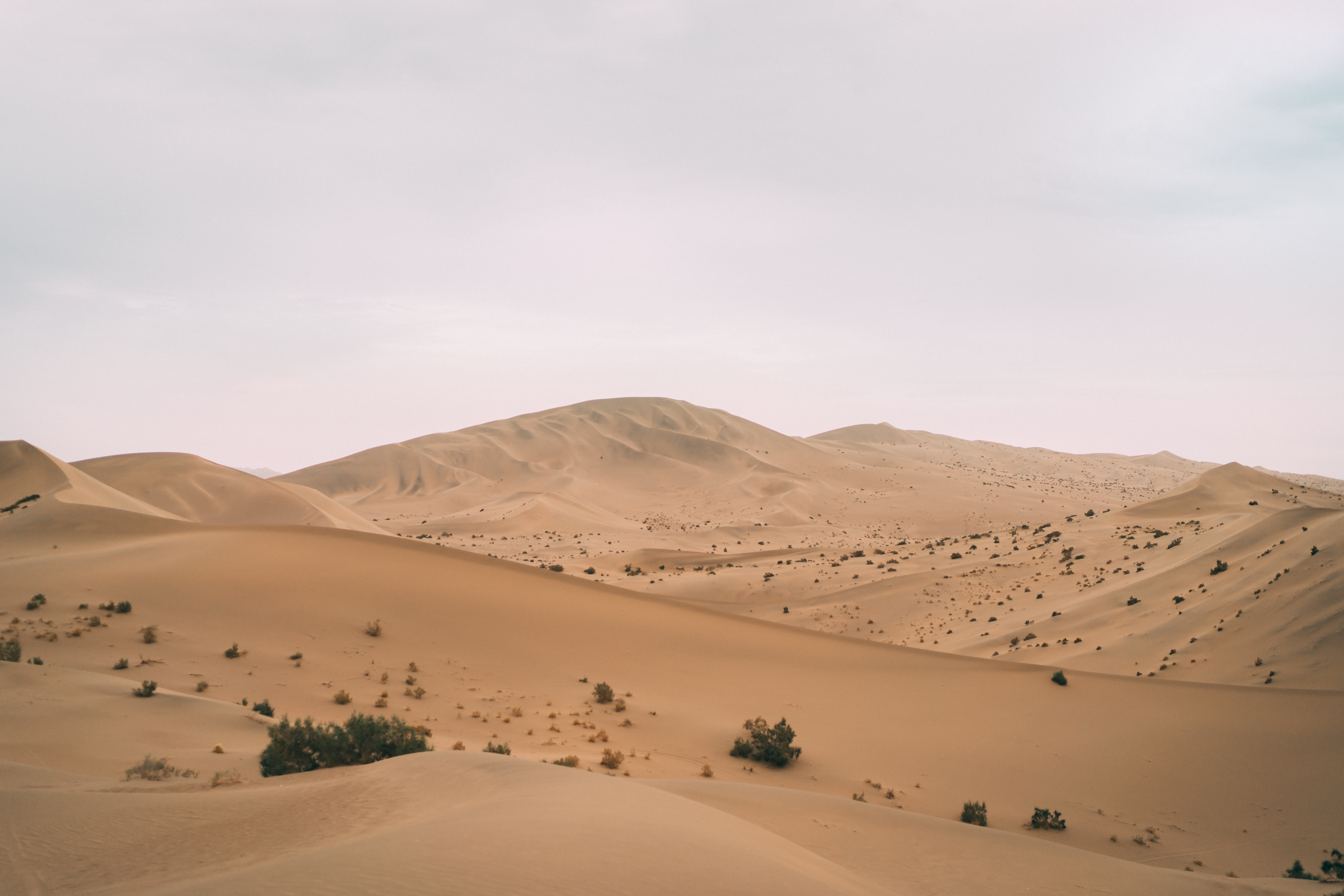 nature, sand, desert, hill, dunes QHD