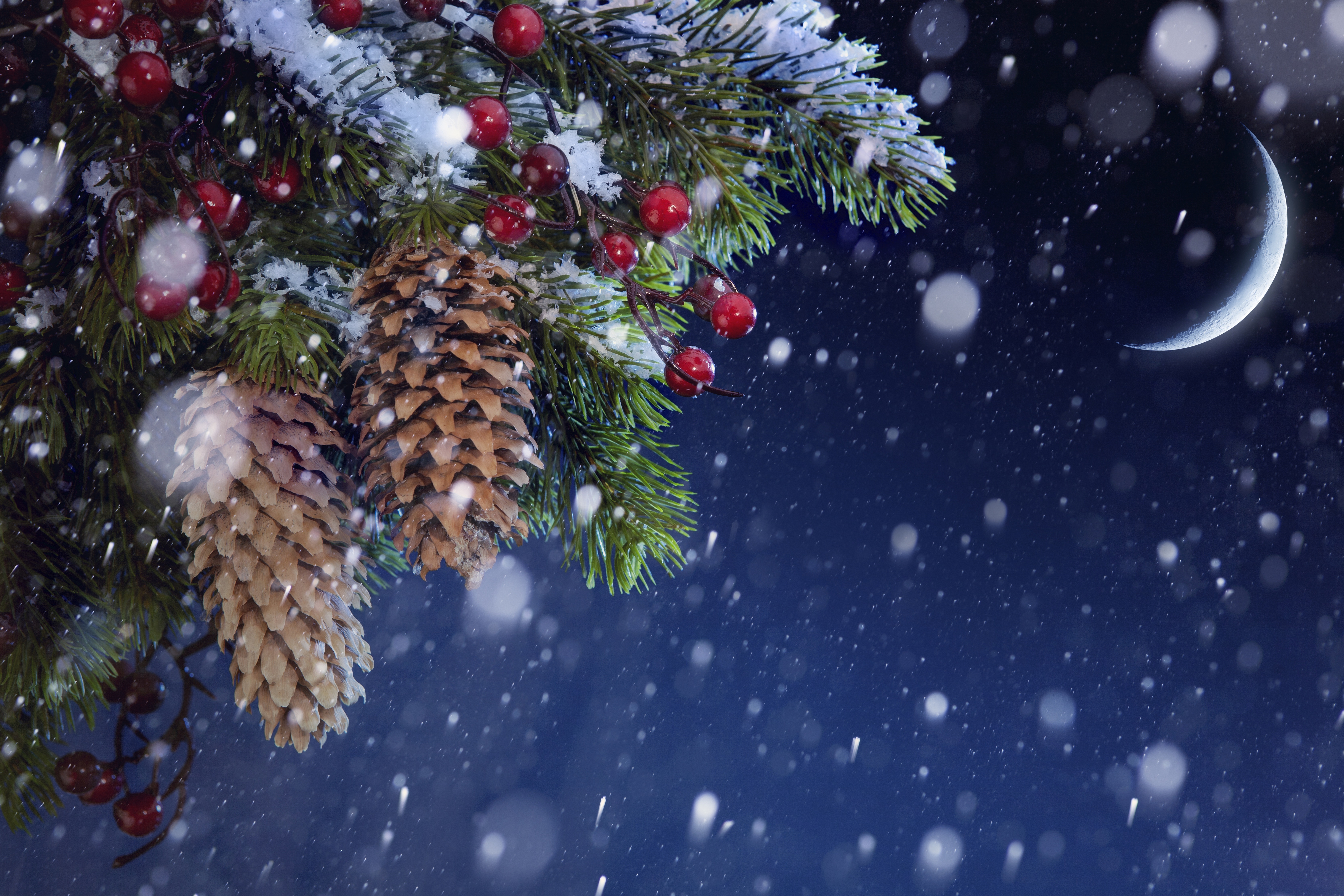 branch, snowfall, christmas, holiday, berry, moon, pine cone