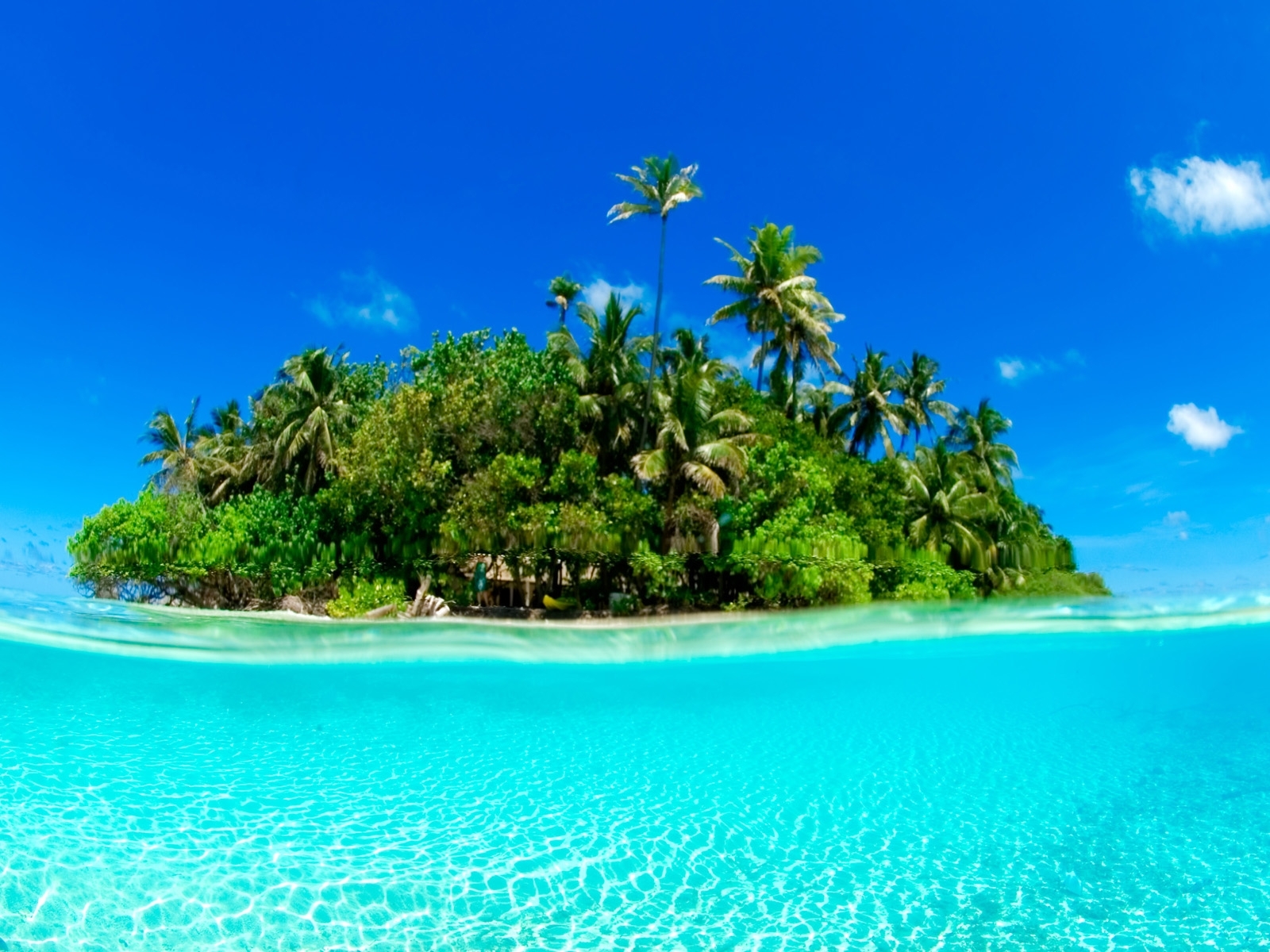 Free download wallpaper Landscape, Water, Trees, Sky, Sea, Art Photo, Palms on your PC desktop