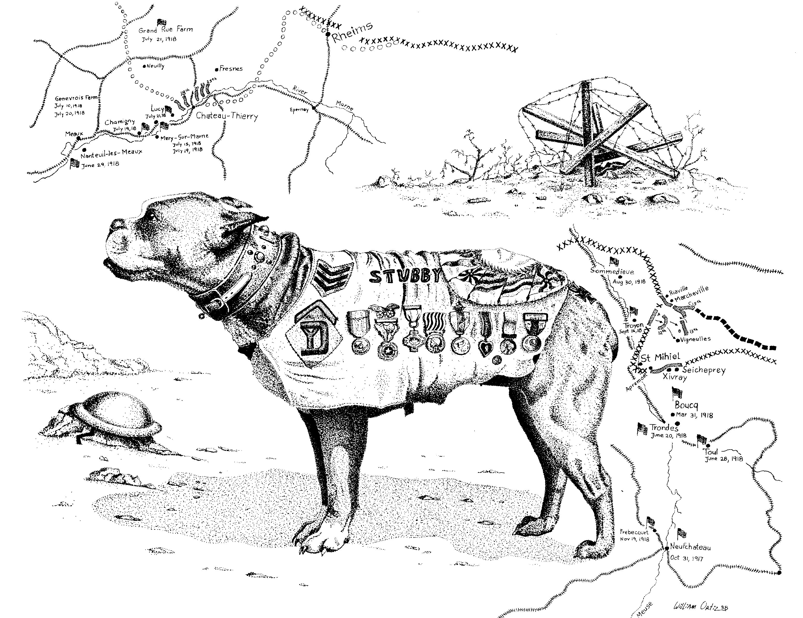 Животные в великой отечественной войне рисунок. Военная собака рисунок. Раскраска собаки на войне. Собака на войне рисунок карандашом. Фронтовая собака рисунок.