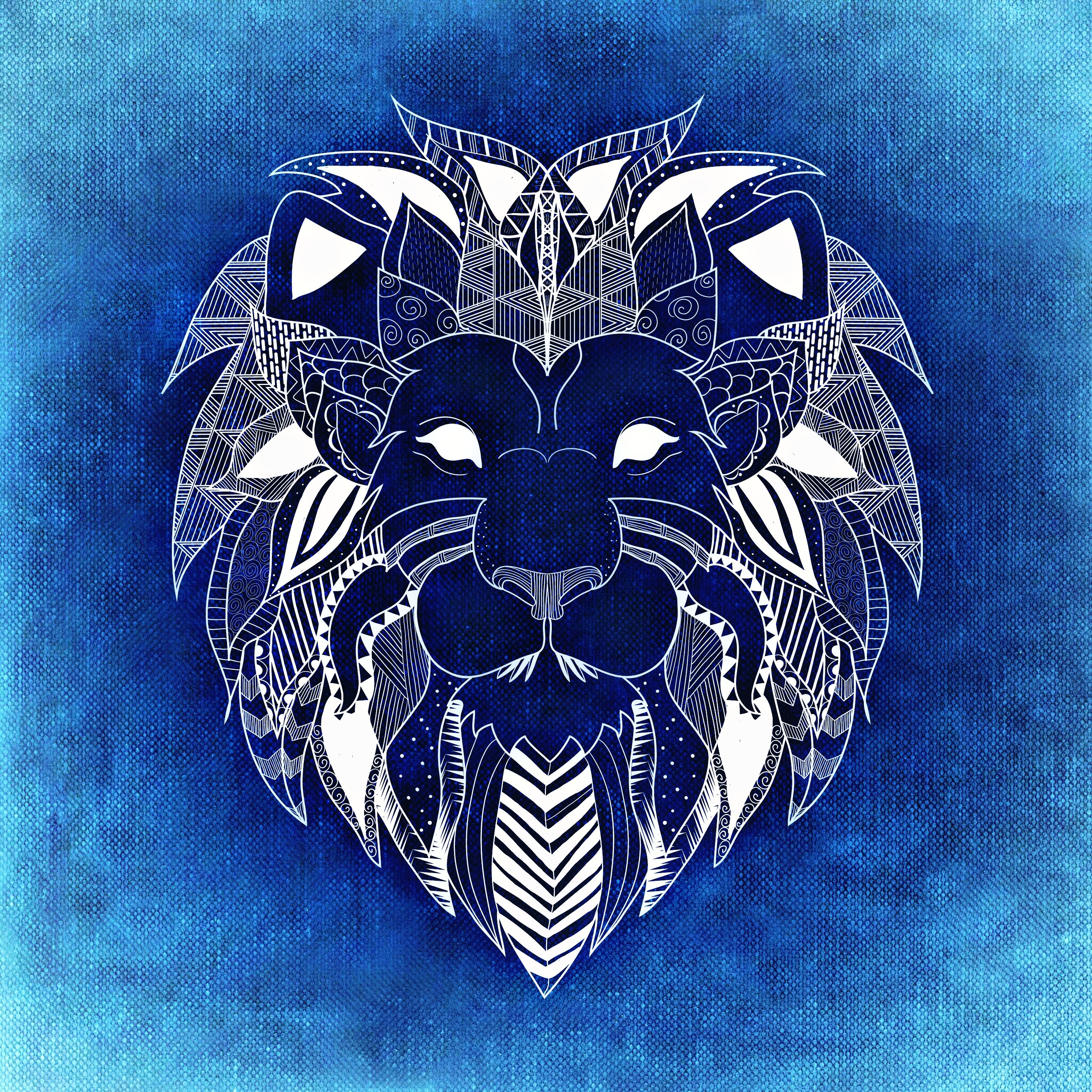 75618 télécharger le fond d'écran lion, bleu, un lion, art, patterns, blanc - économiseurs d'écran et images gratuitement