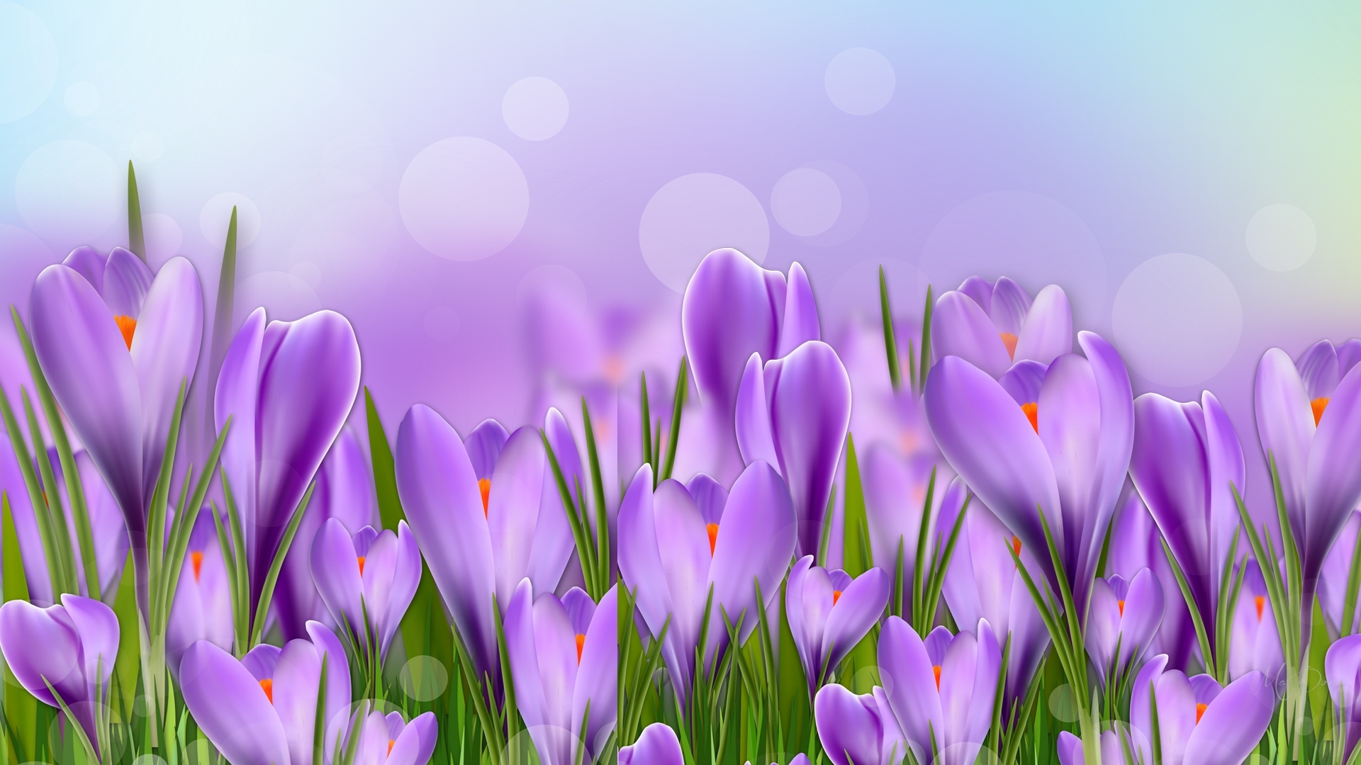 Download mobile wallpaper Flowers, Flower, Spring, Artistic, Crocus, Purple Flower for free.