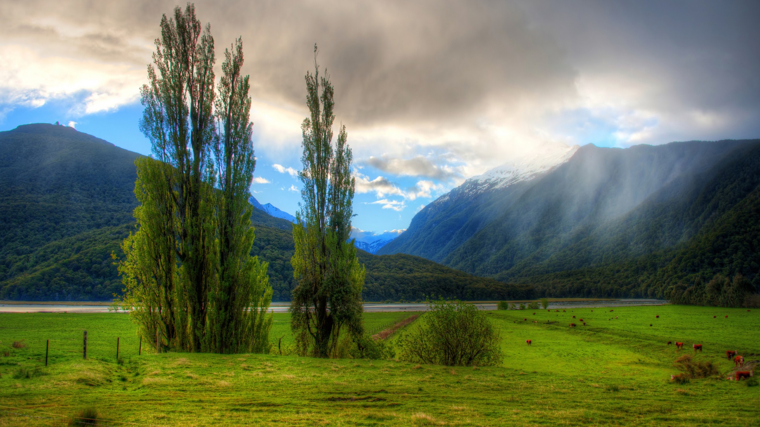 Новозеландия природа