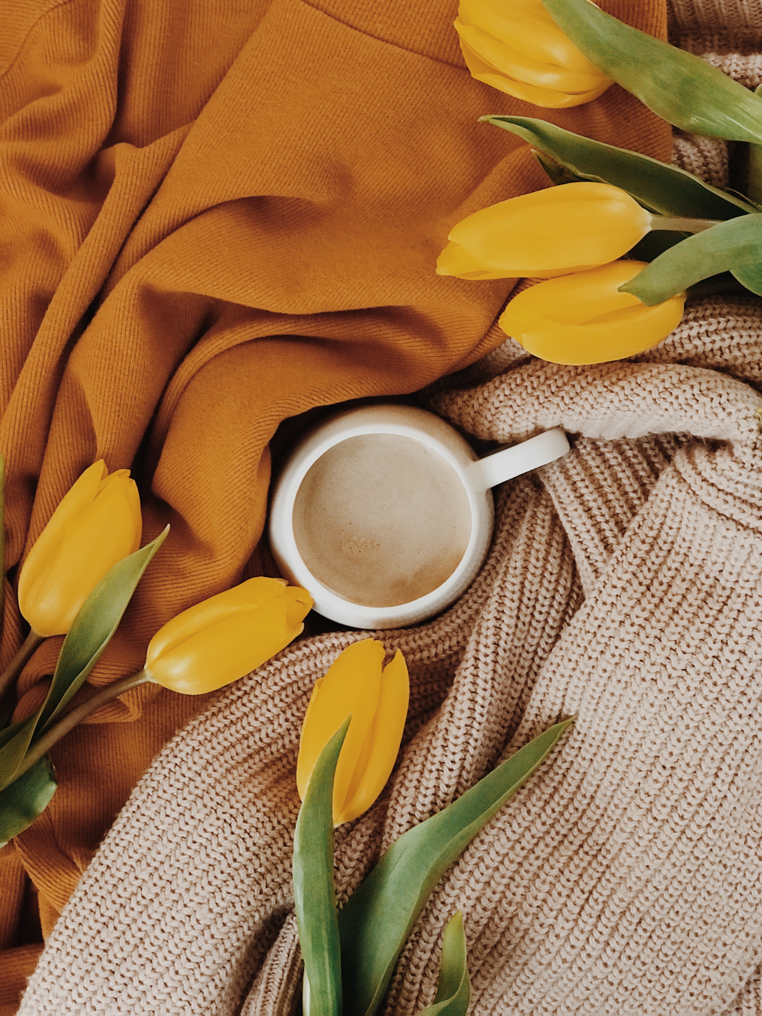 tulips, beverage, flowers, yellow, cup, drink