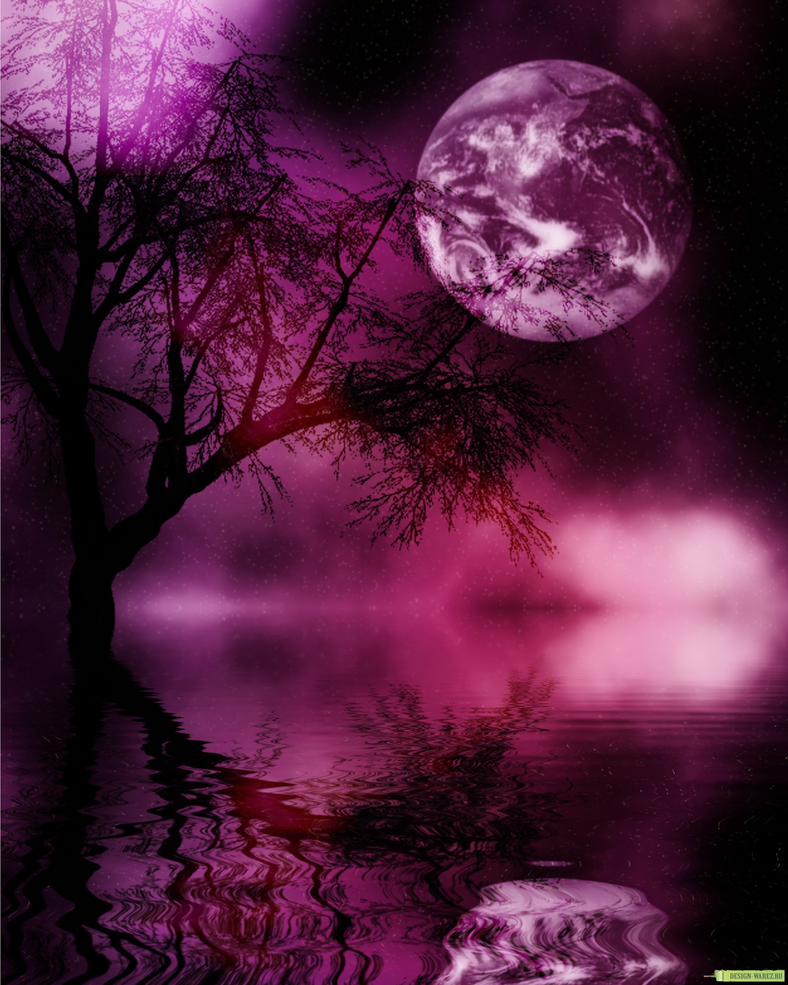 Free download wallpaper Landscape, Night, Moon on your PC desktop