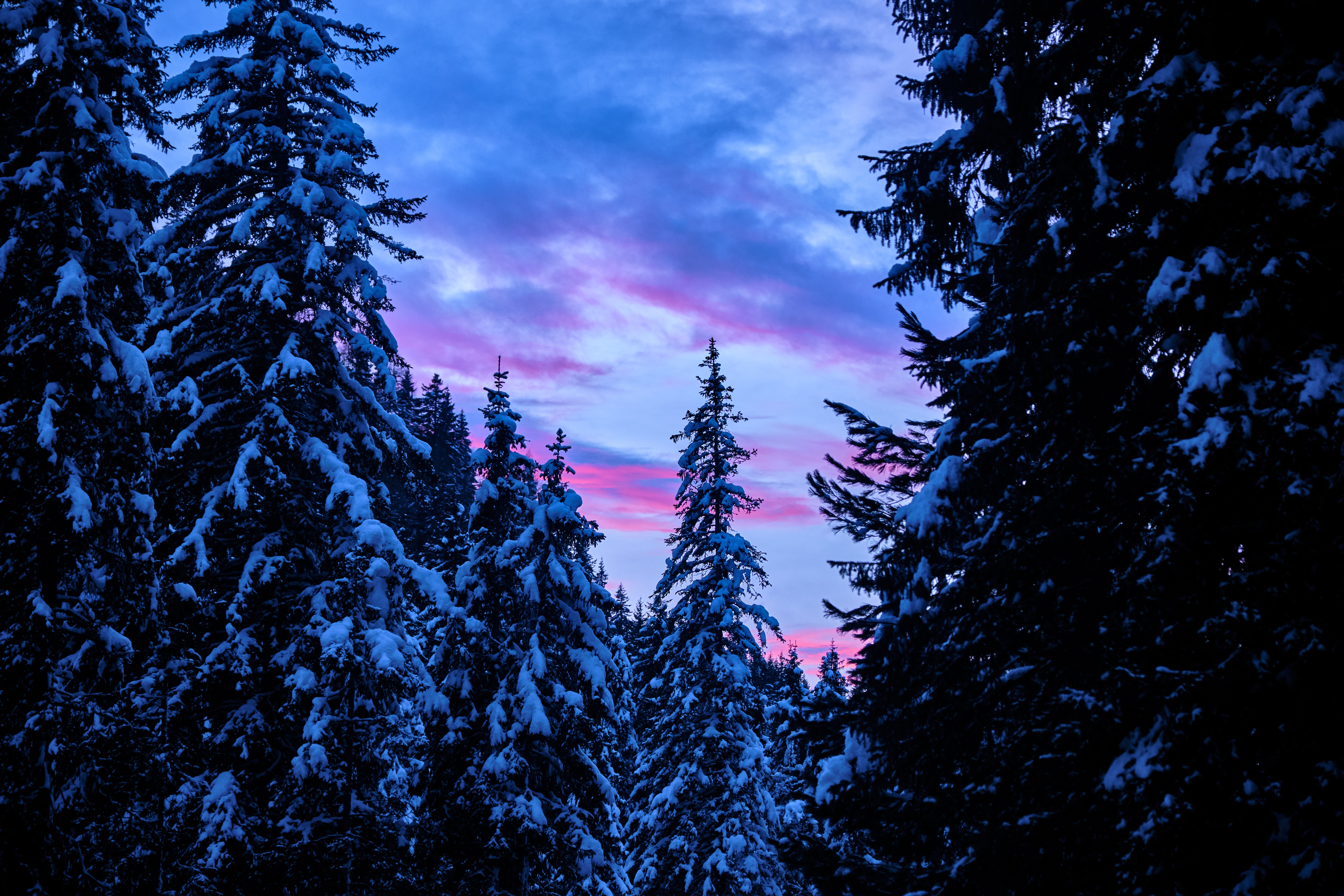 Handy-Wallpaper Schneebedeckt, Snowbound, Bäume, Sunset, Sky, Wald, Natur kostenlos herunterladen.