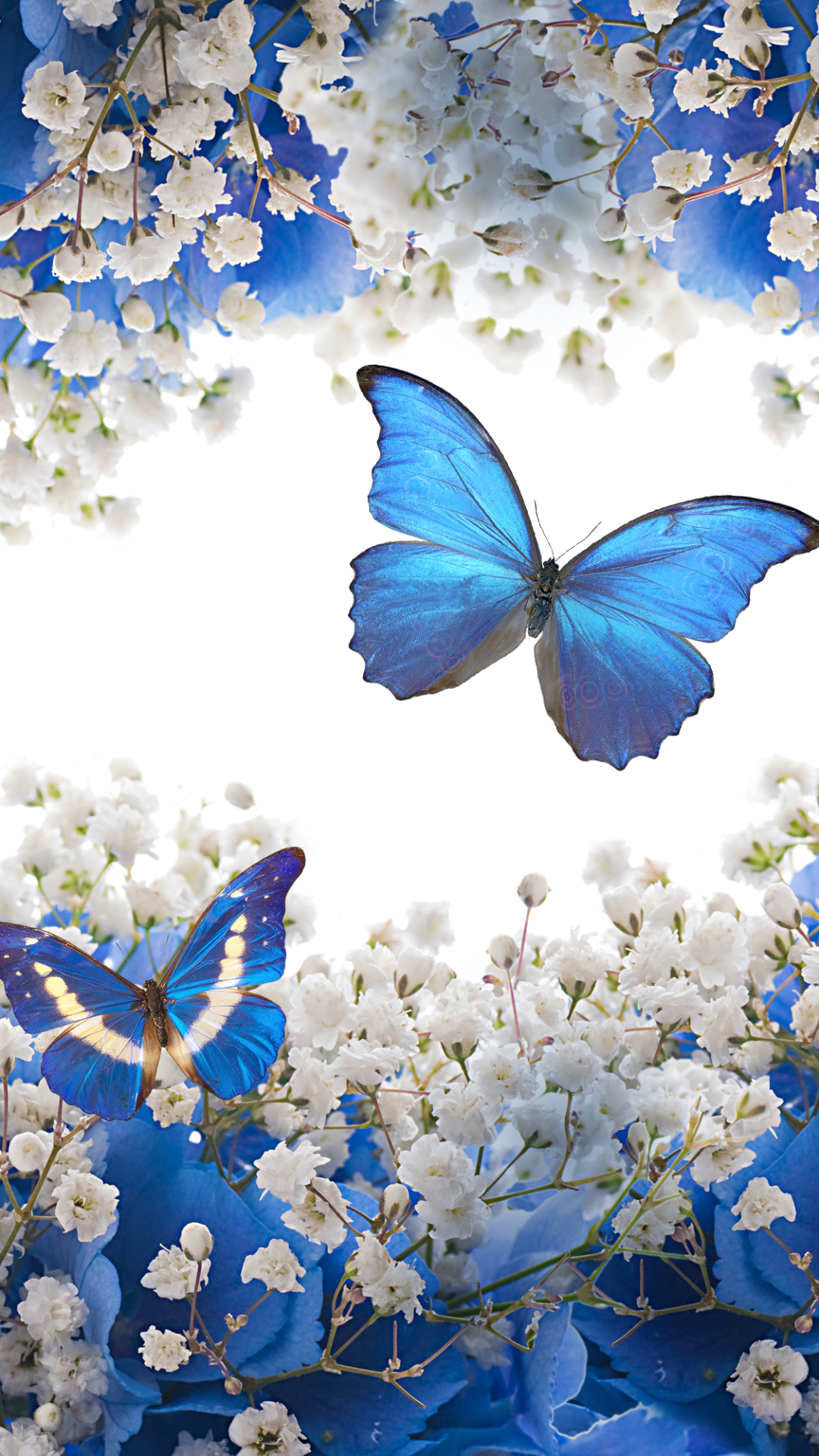 無料モバイル壁紙蝶, 花, 青い, 芸術的, 白い花をダウンロードします。