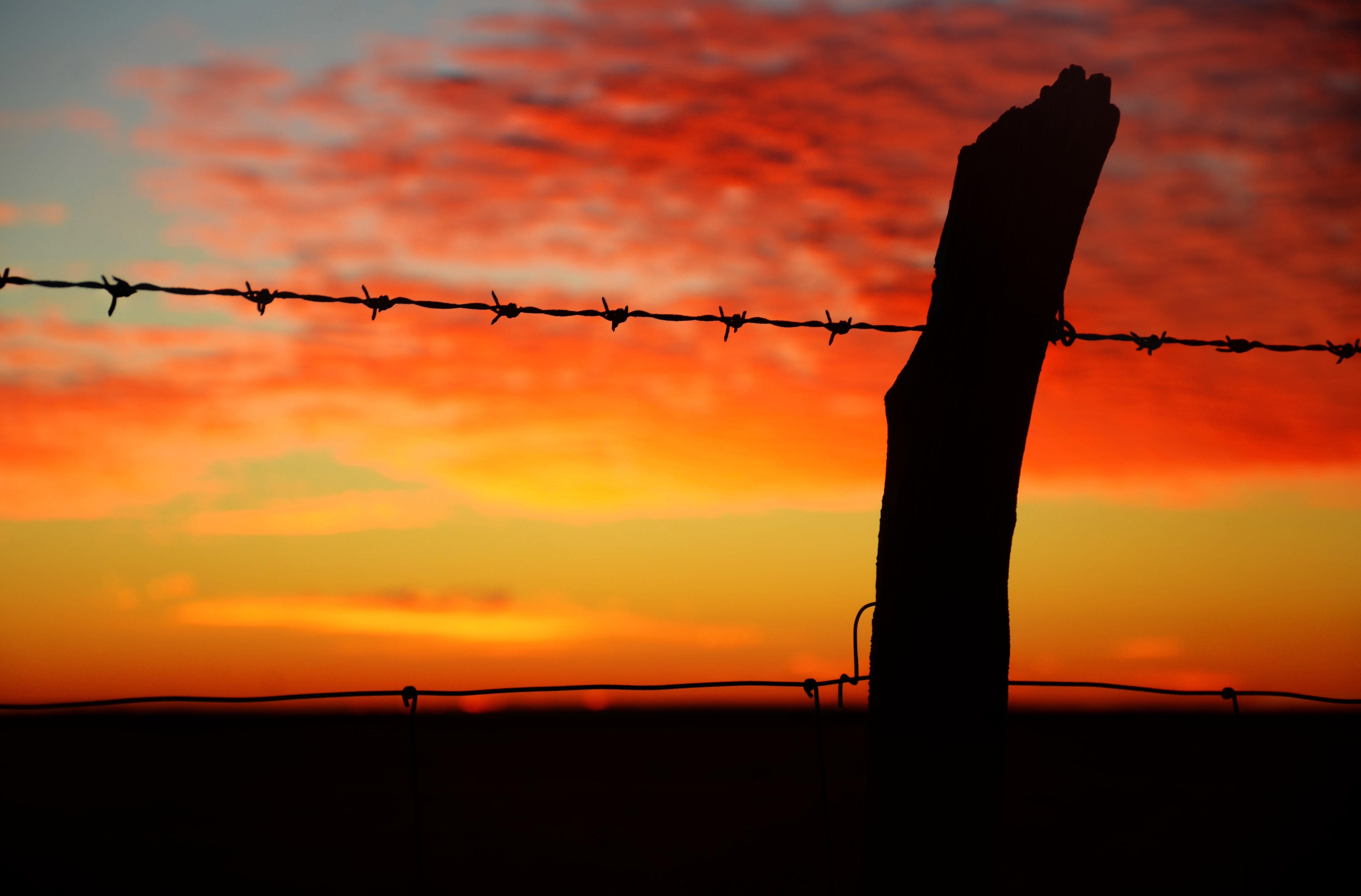 sunset, horizon, miscellanea, miscellaneous, barbed, wire, prickly 2160p