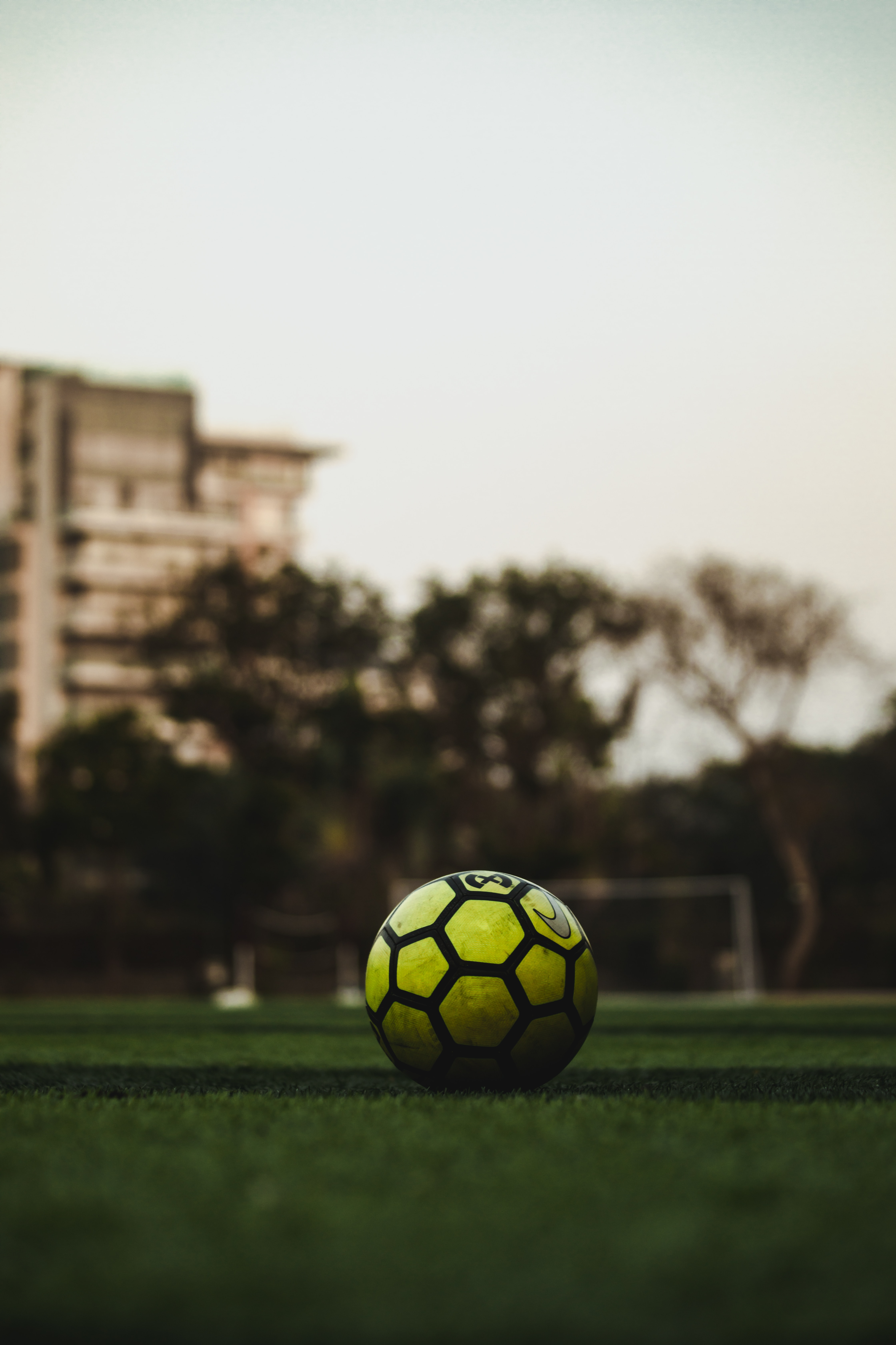 football, soccer ball, sports, lawn, grass, ball HD wallpaper