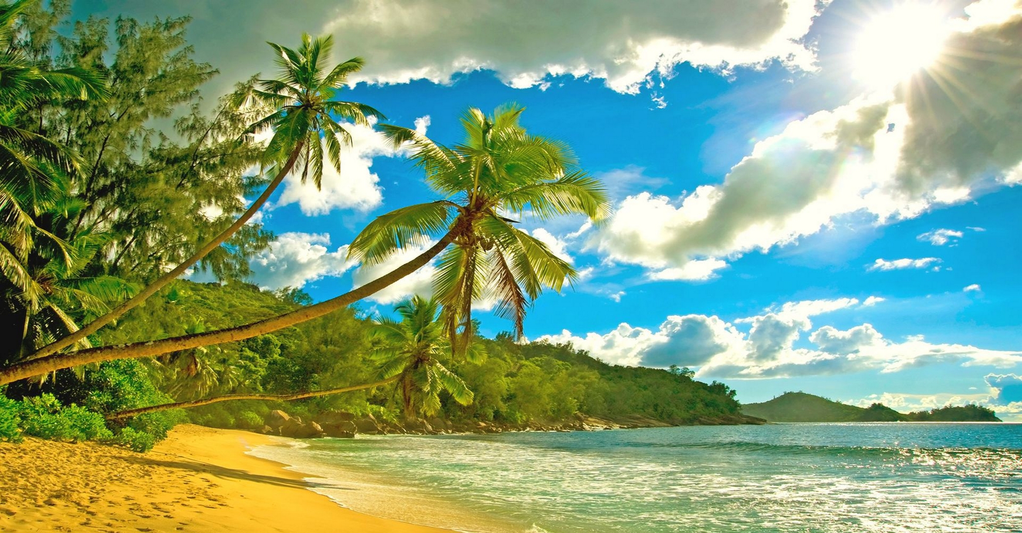 Пляж Сейшелы пальмы