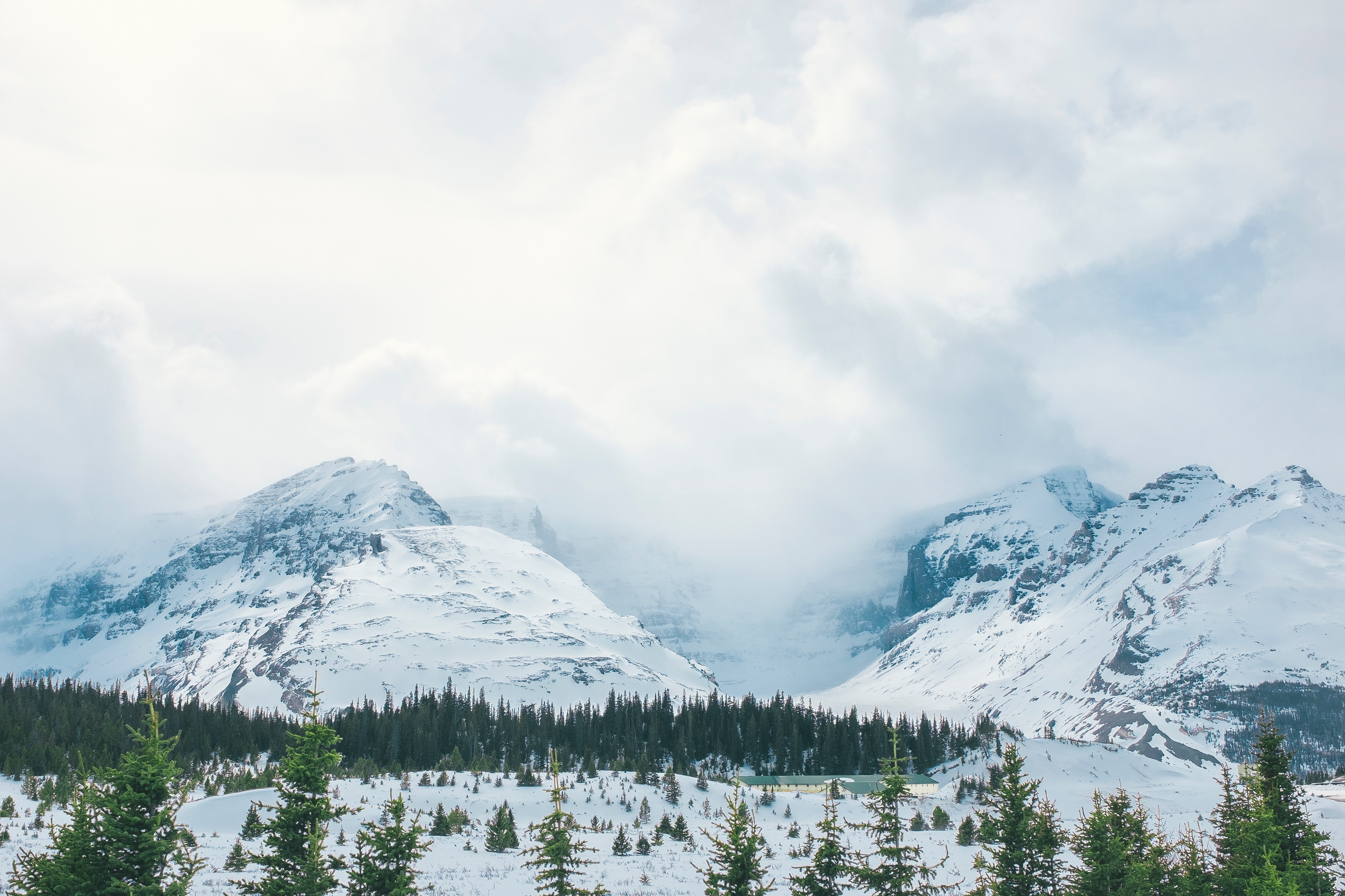 140862 Hintergrundbild herunterladen natur, bäume, mountains, schnee, nebel, oberteile, scheitelpunkt - Bildschirmschoner und Bilder kostenlos