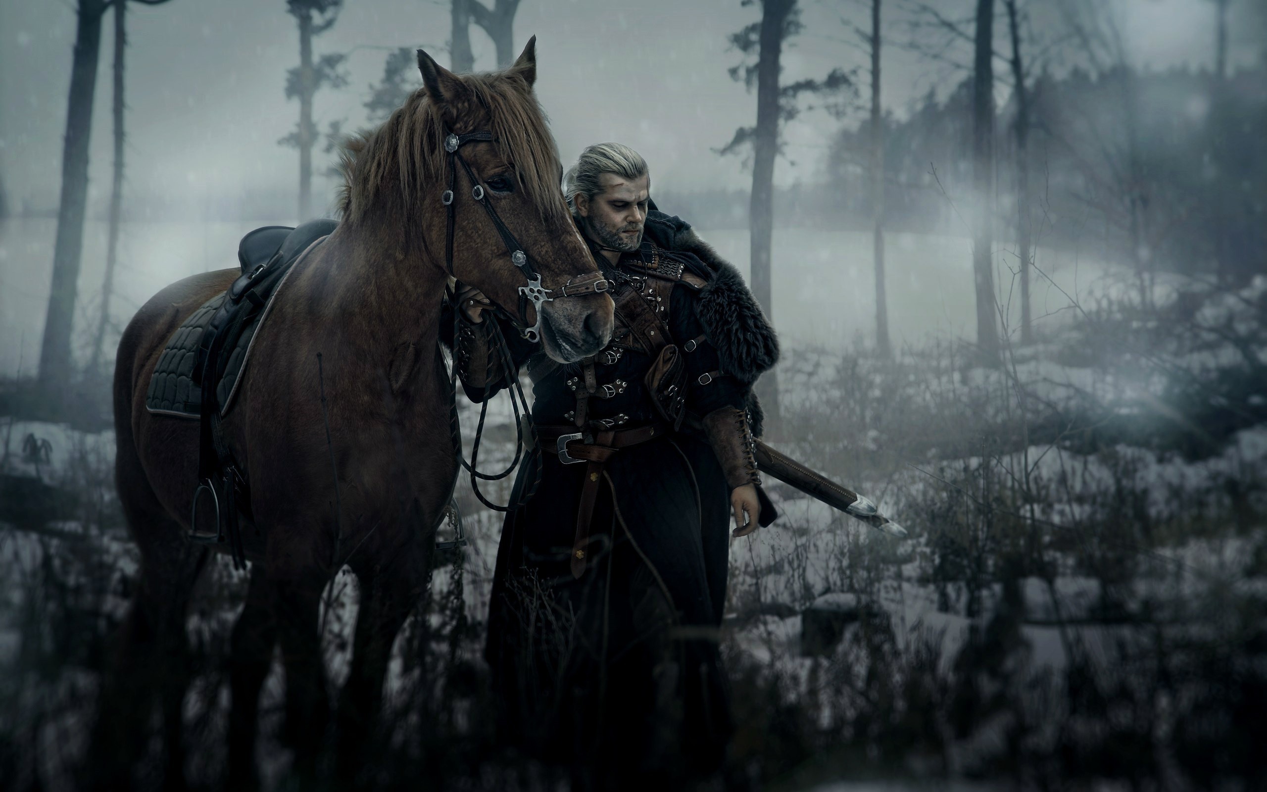 The witcher 3 geralt horse фото 14