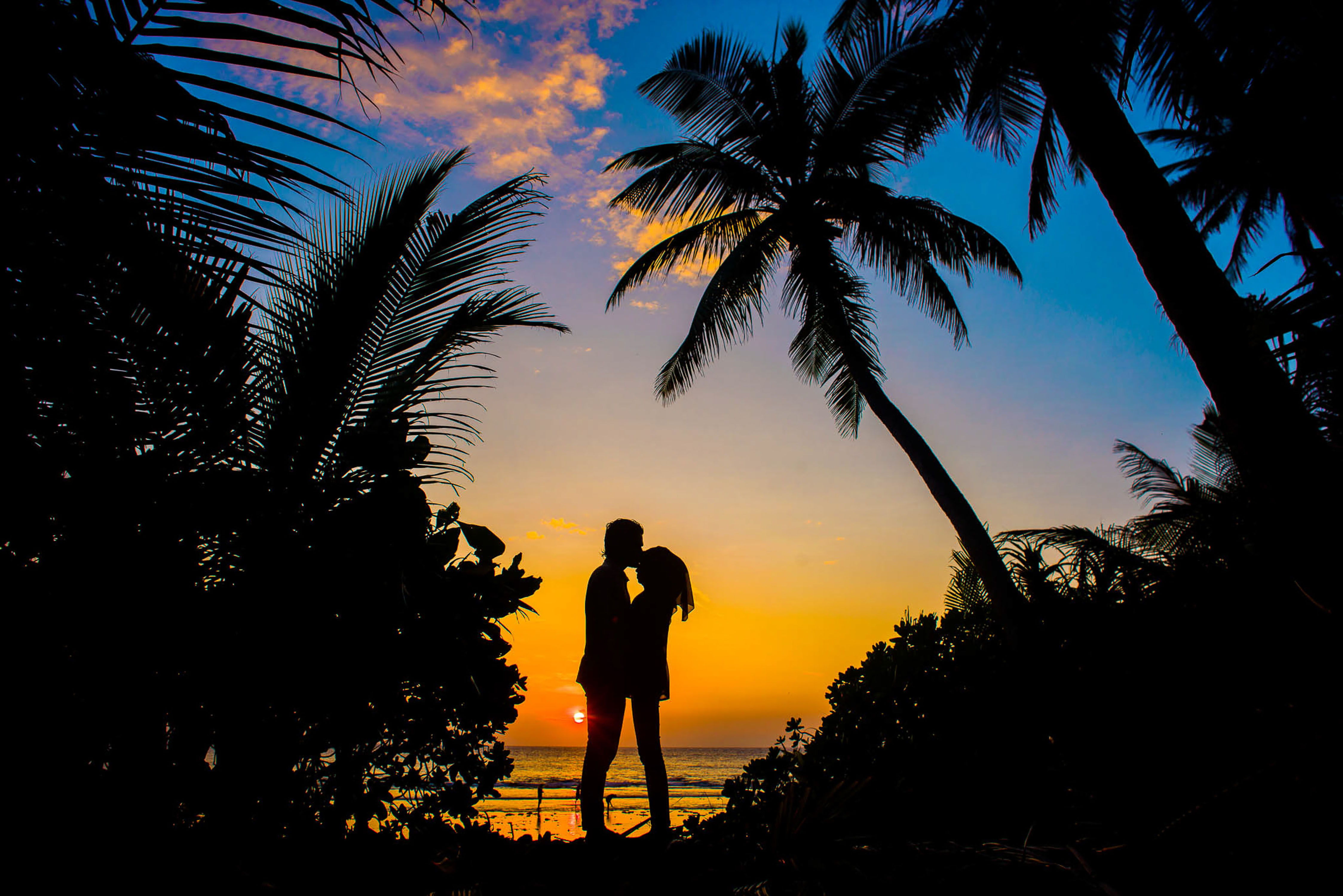 Romance music. Пара на Мальдивах закат. Пальмы парами на берегу. Влюбленные на закате. Пара в тропиках.