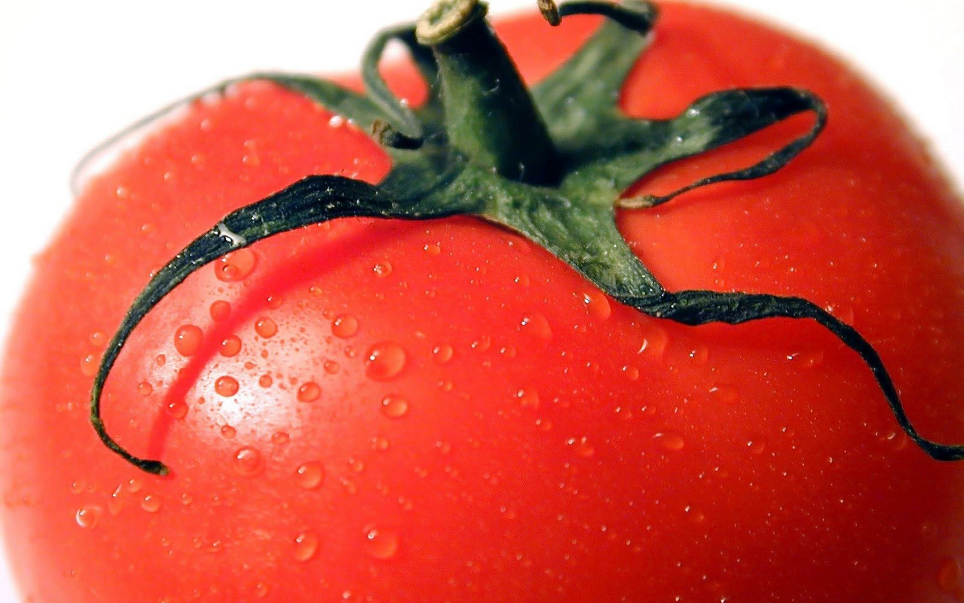 Упоротый помидор