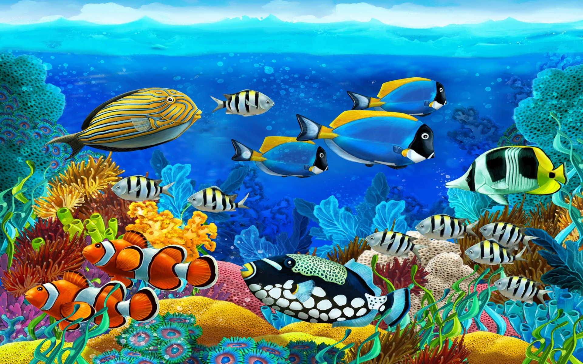 Подводный мир моря