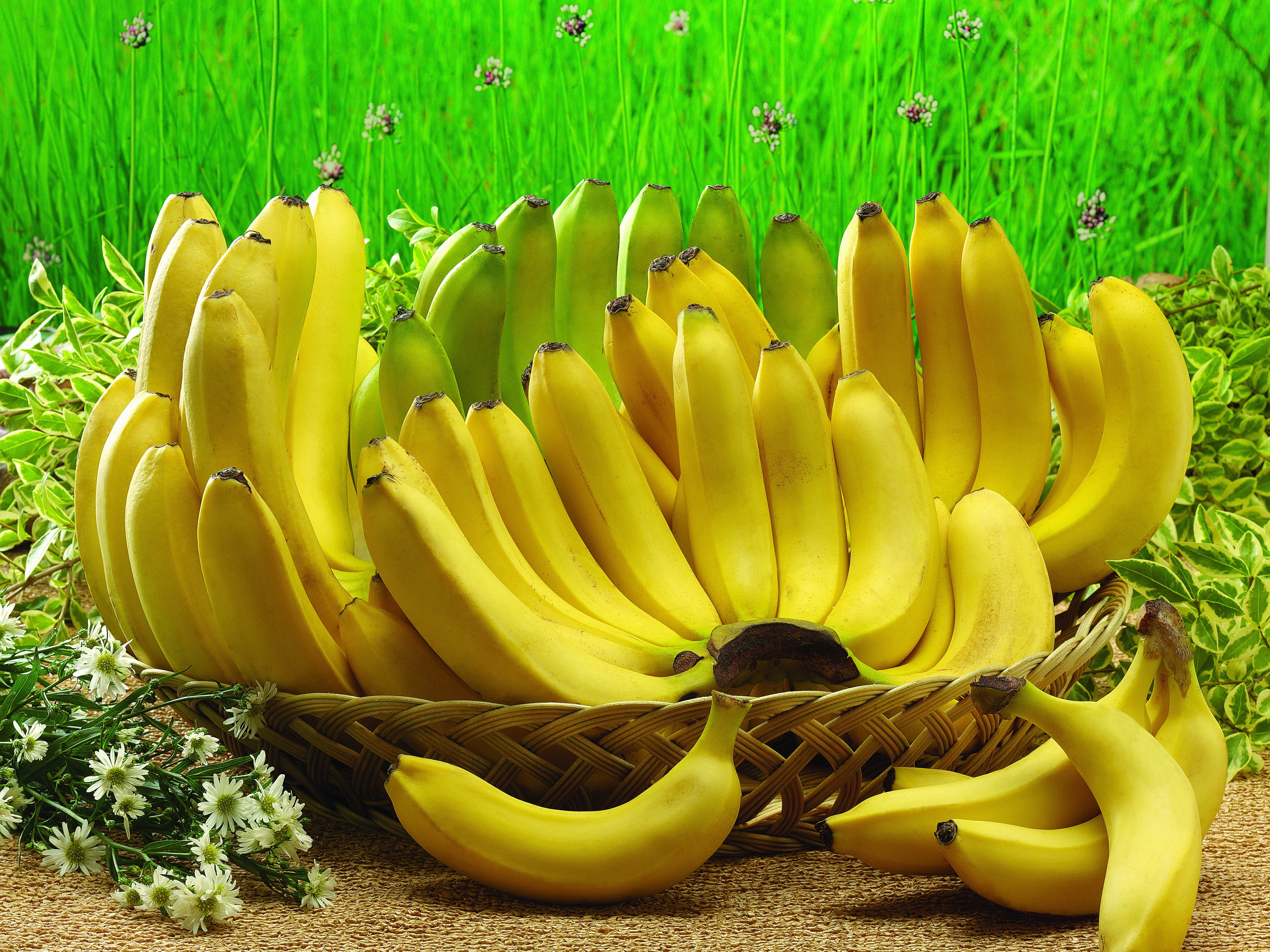 289369 скачать картинку банан, фрукты, еда - обои и заставки бесплатно