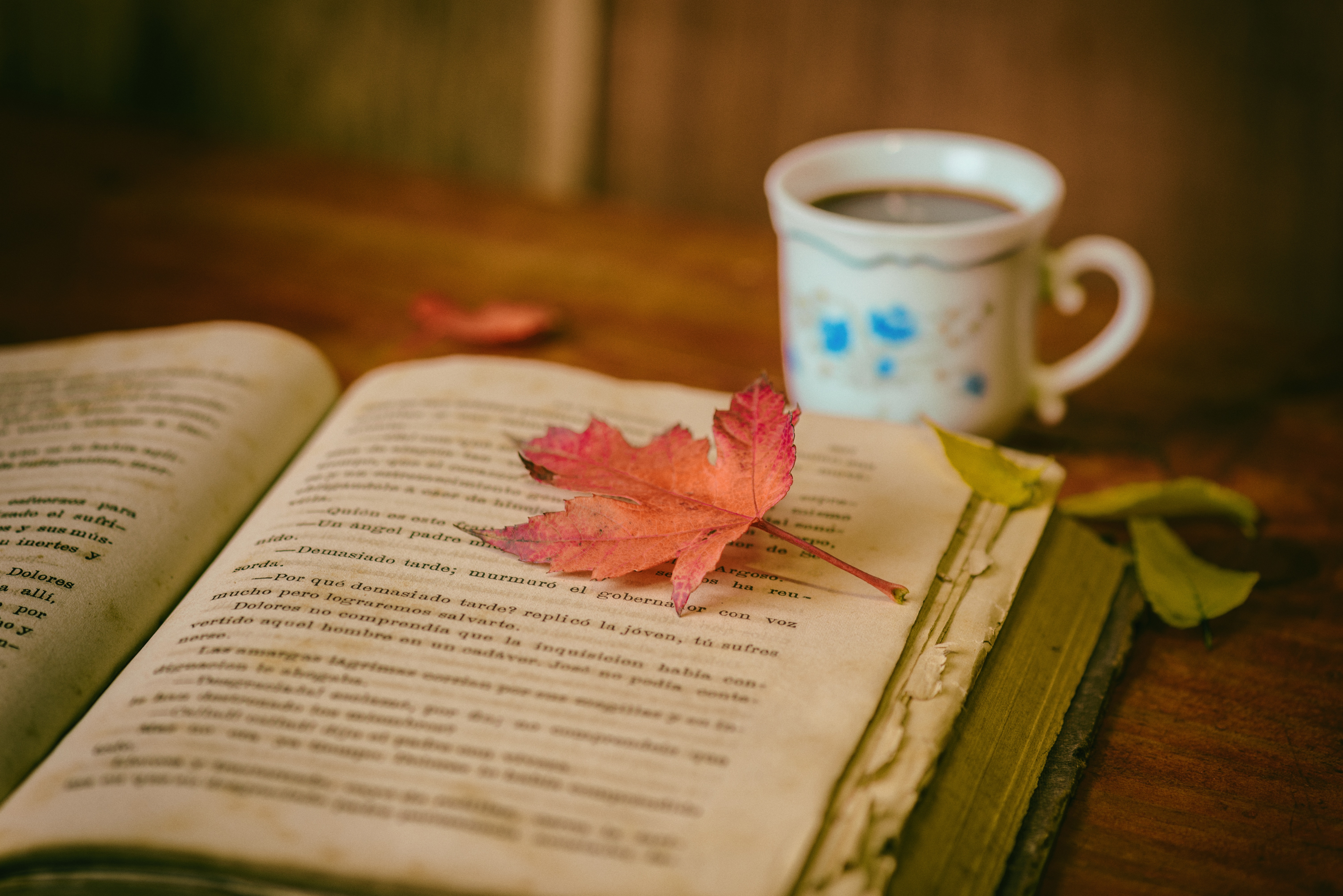 106282 скачать обои кофе, листья, чтение, уют, книга, осень, разное, чашка - заставки и картинки бесплатно