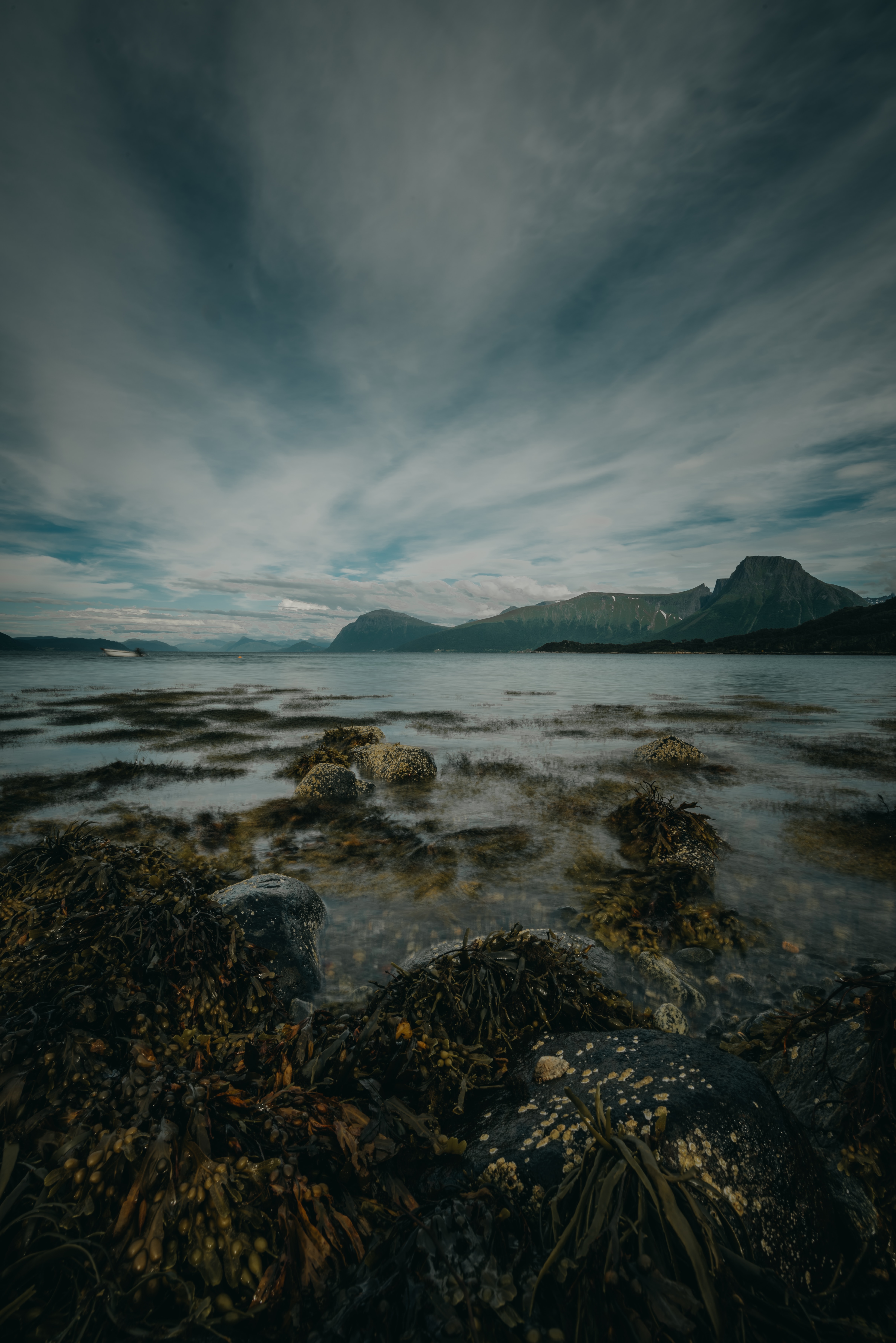 mountains, lake, nature, stones, shore, bank, seaweed, algae phone background