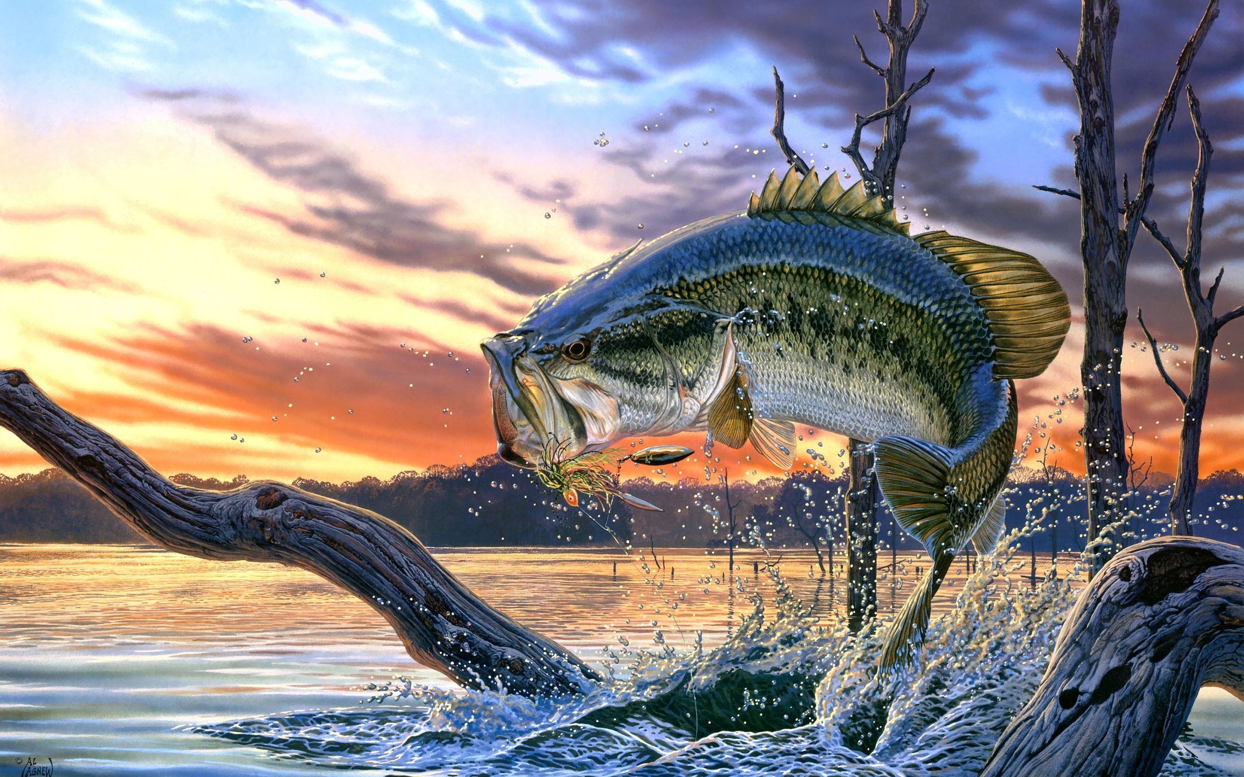 картинки на тему рыба